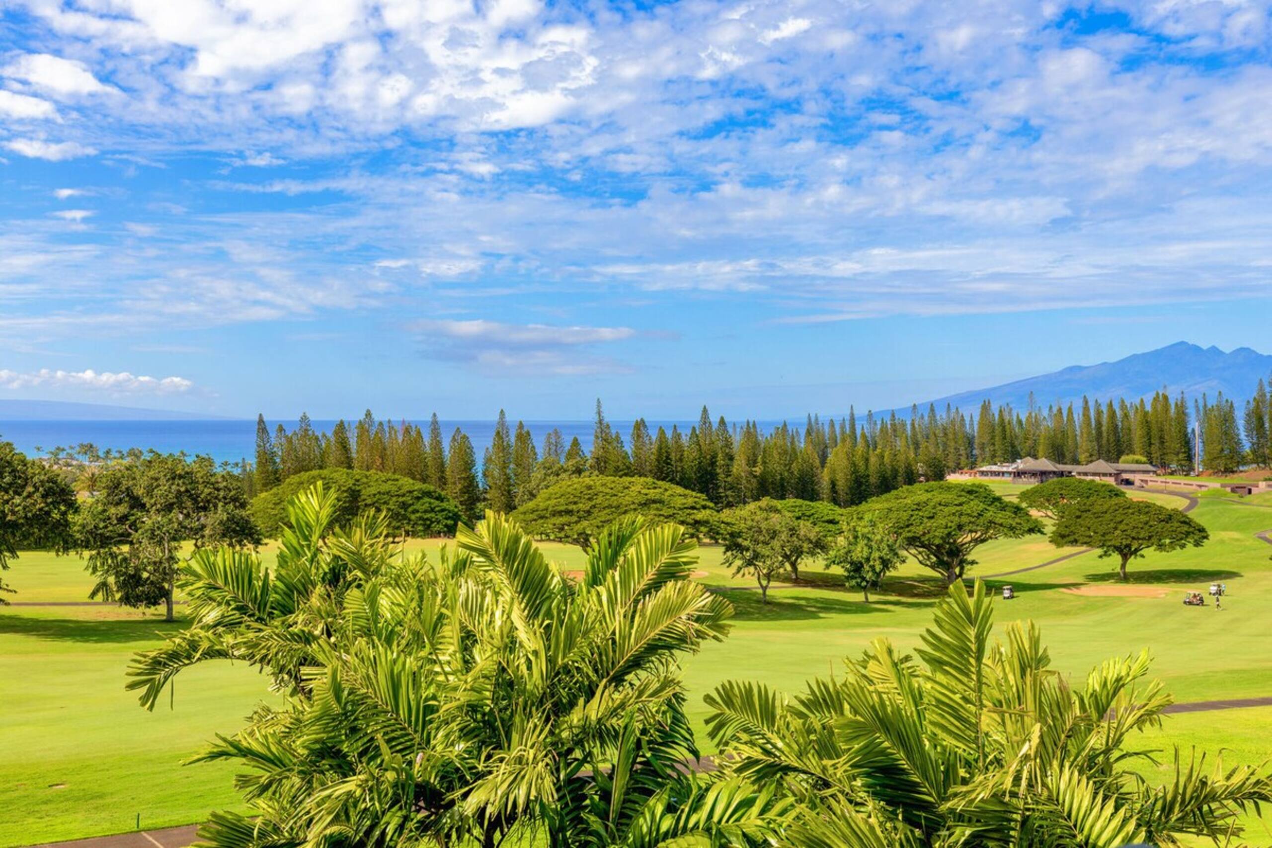 Peaceful retreat with panoramic golf course beauty - Photo 5