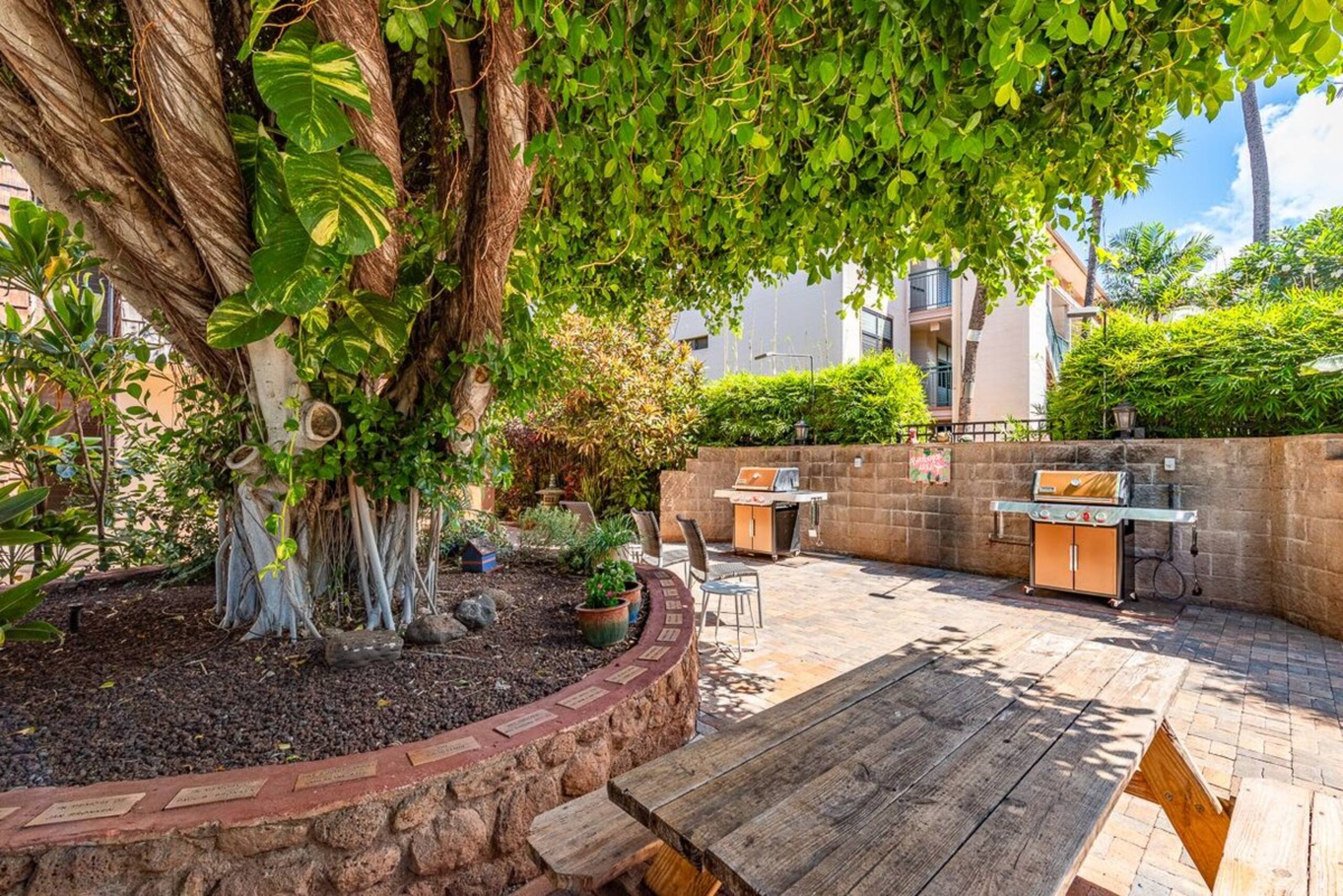 Discounted Rates 202 Quaint 2nd floor 1 bed/bath - Photo 32