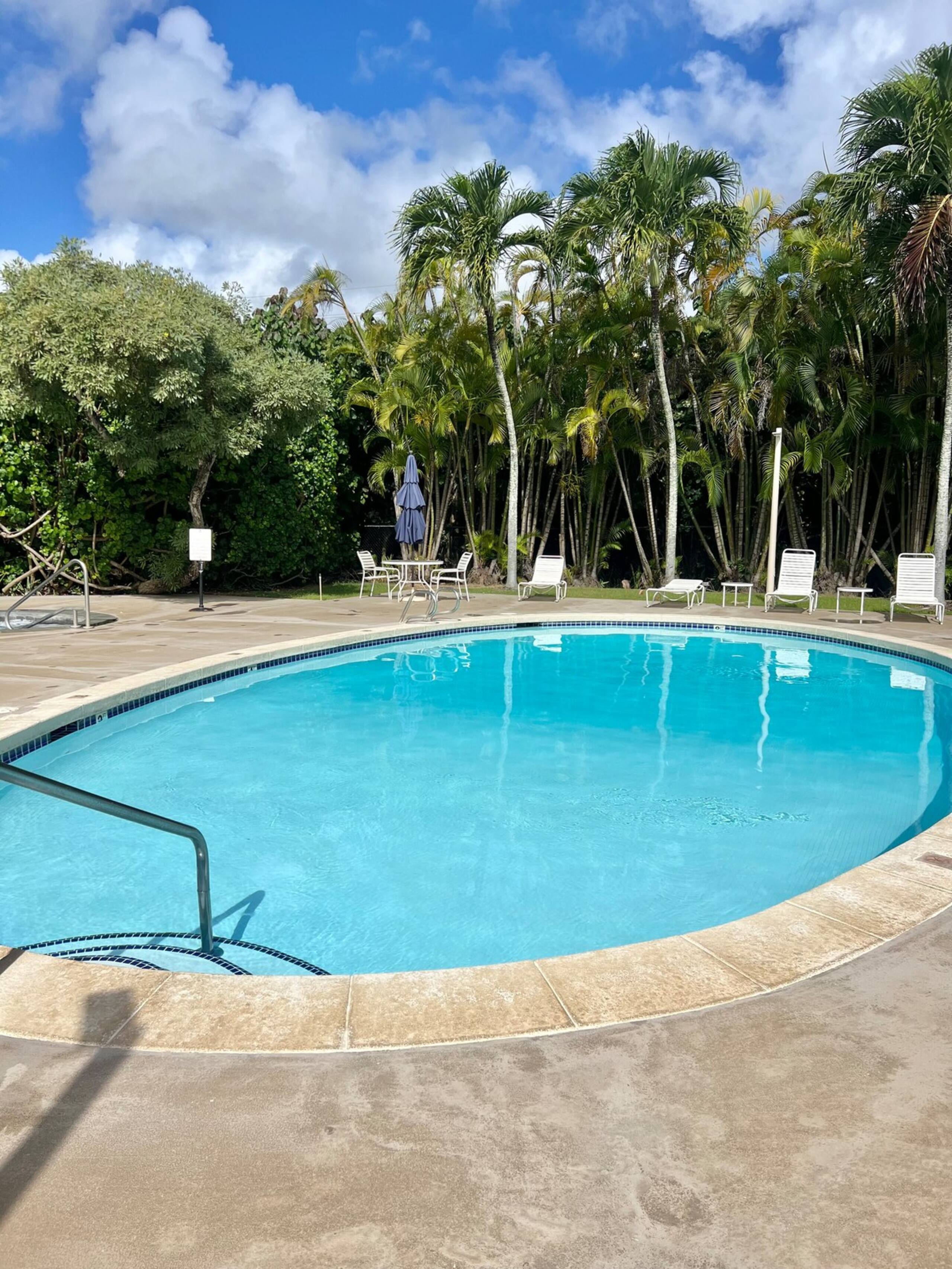 Ocean + Mountain + Pool View, Upgraded Condo - Photo 49