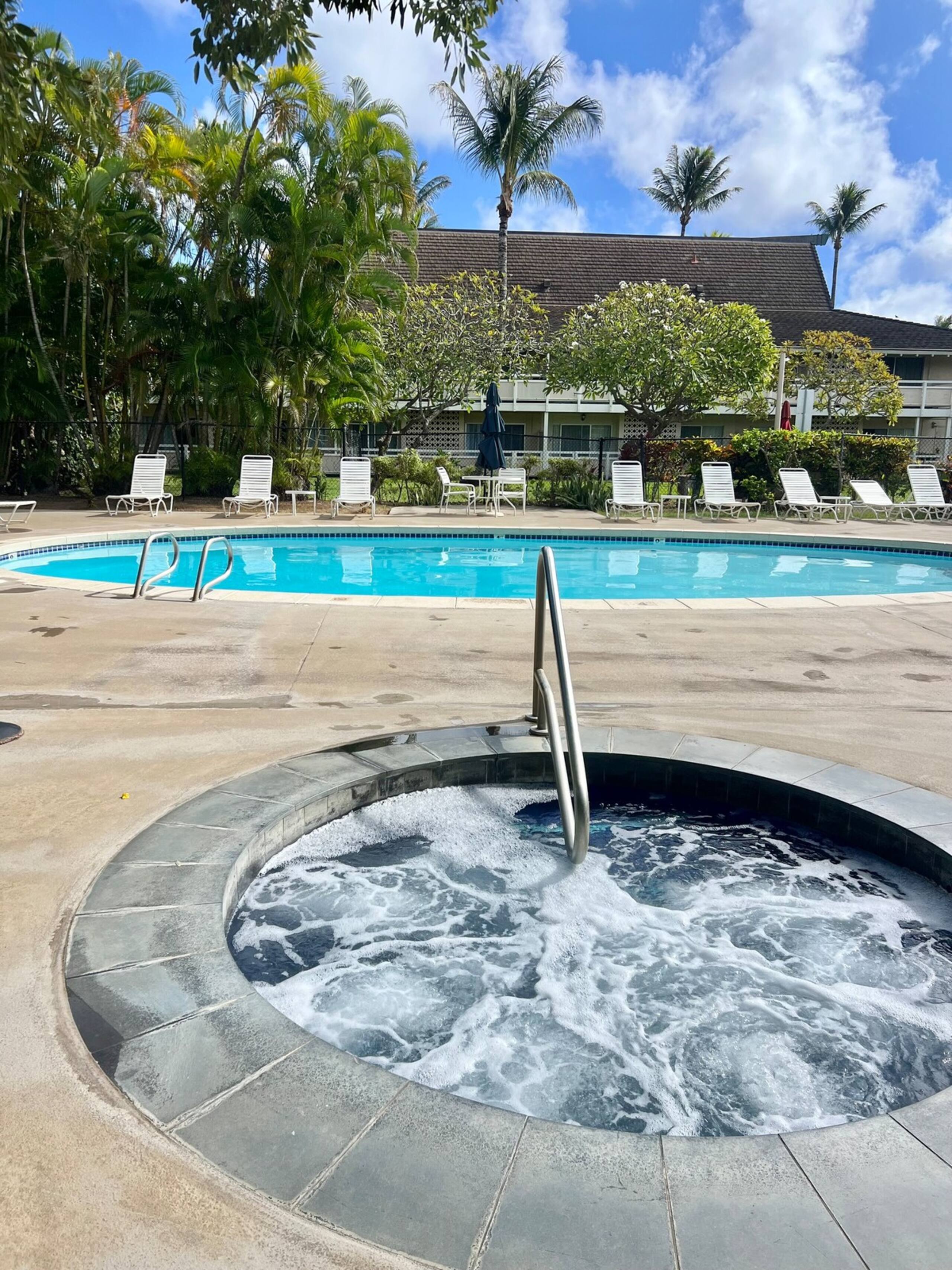 Ocean + Mountain + Pool View, Upgraded Condo - Photo 48