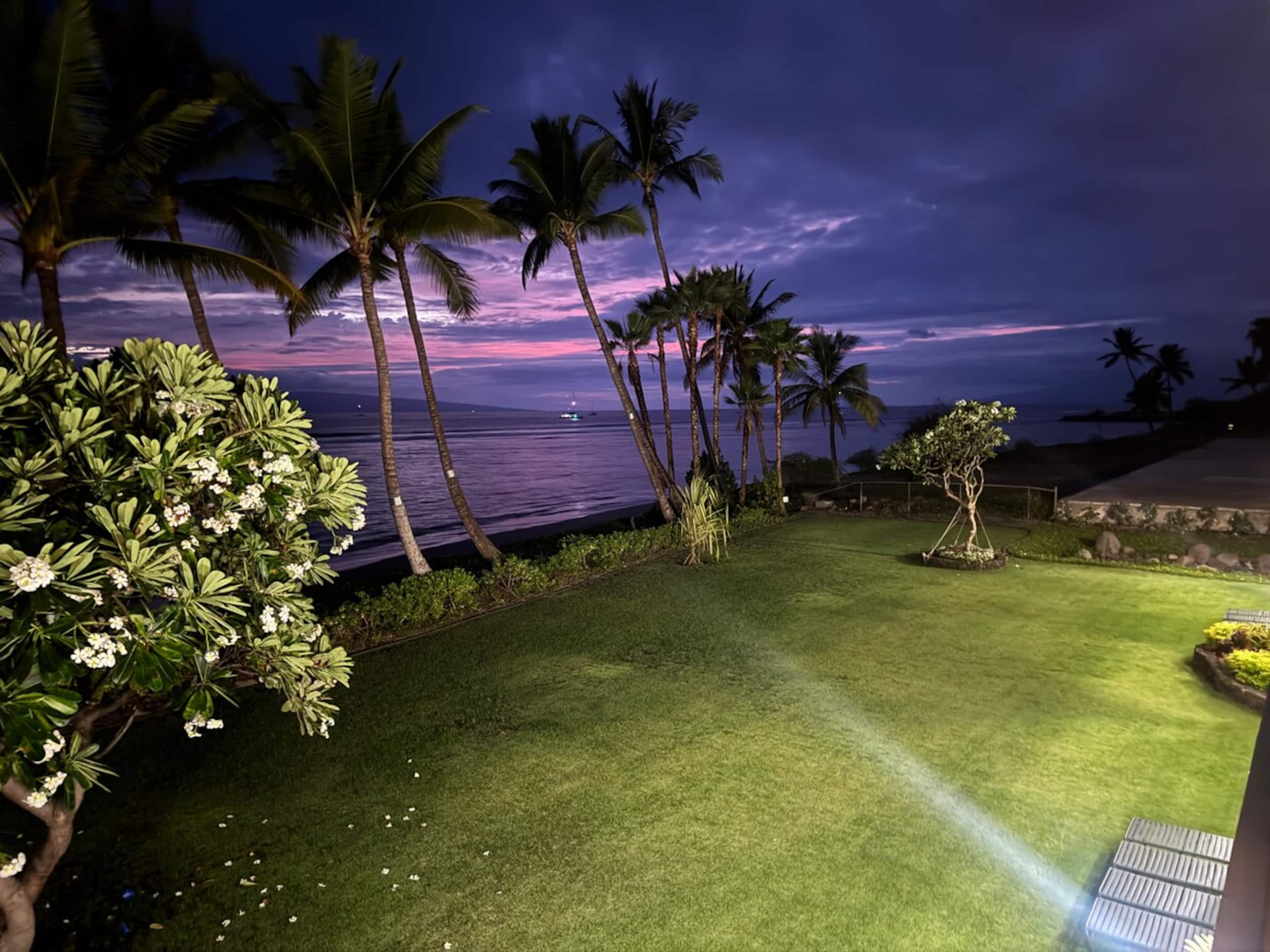 Lahaina Shores Beachfront Escape with MountainView - Photo 8