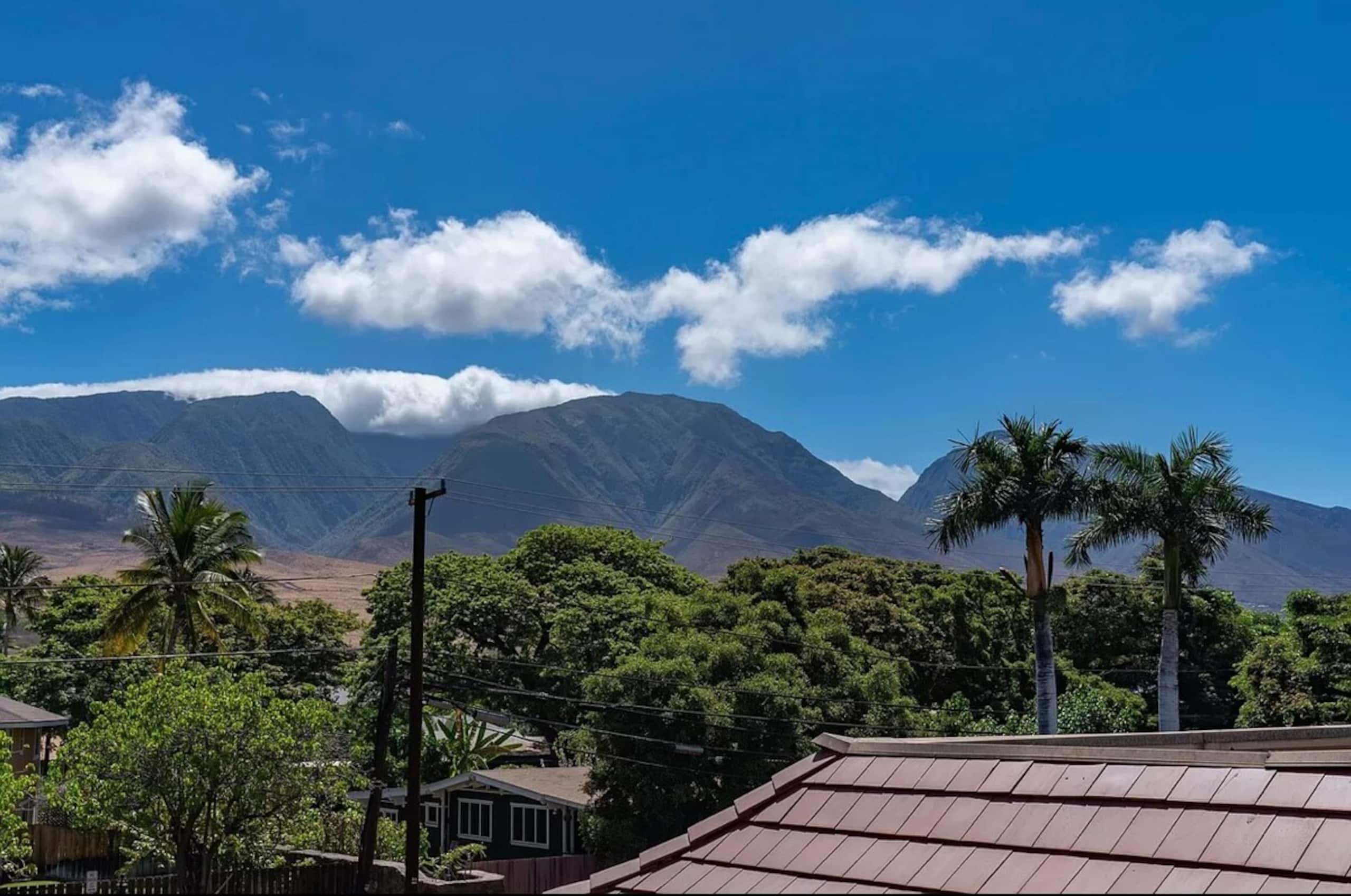 Lahaina Shores Beachfront Escape with MountainView - Photo 27