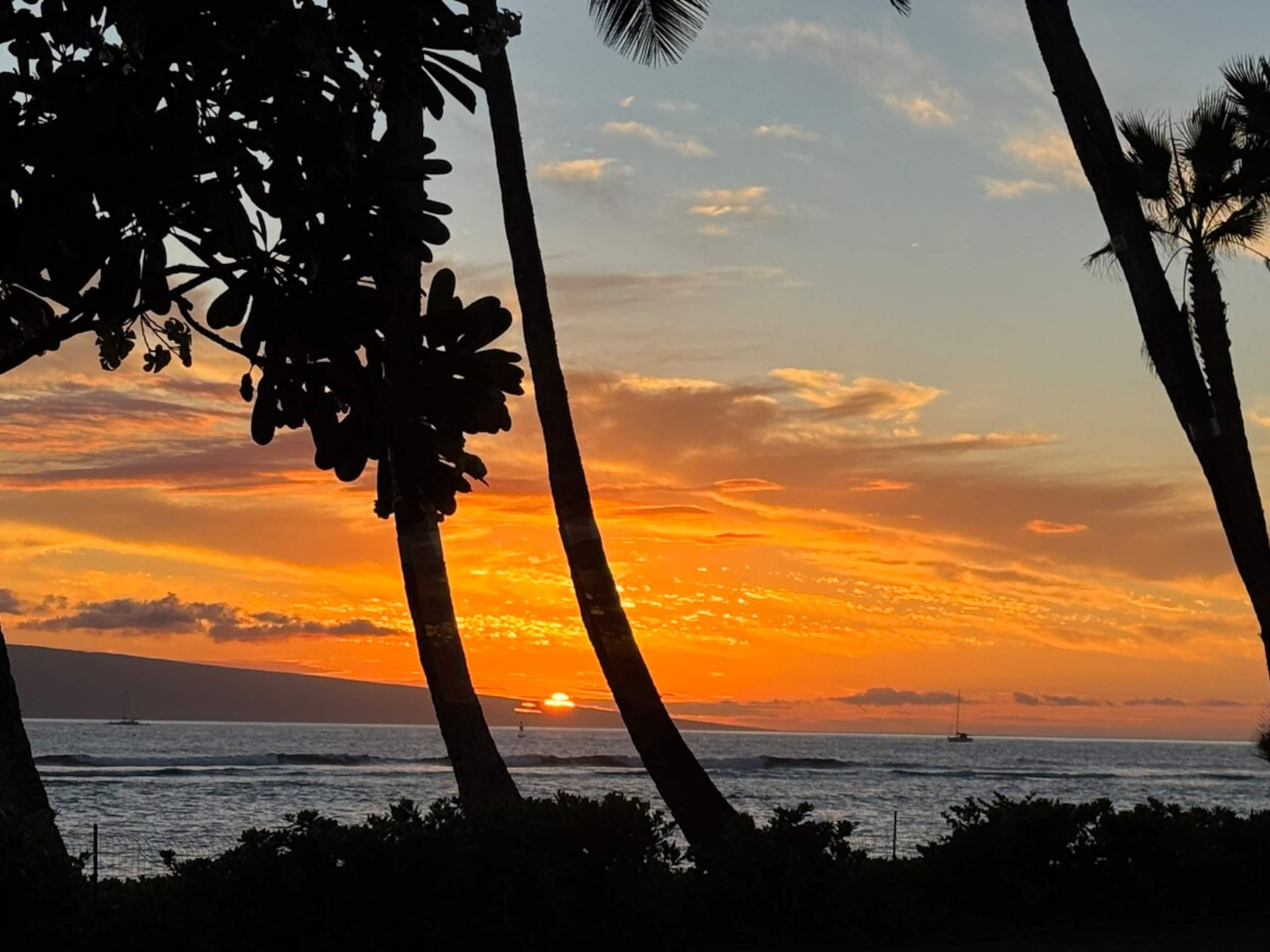 Lahaina Shores Beachfront Escape with MountainView - Photo 36
