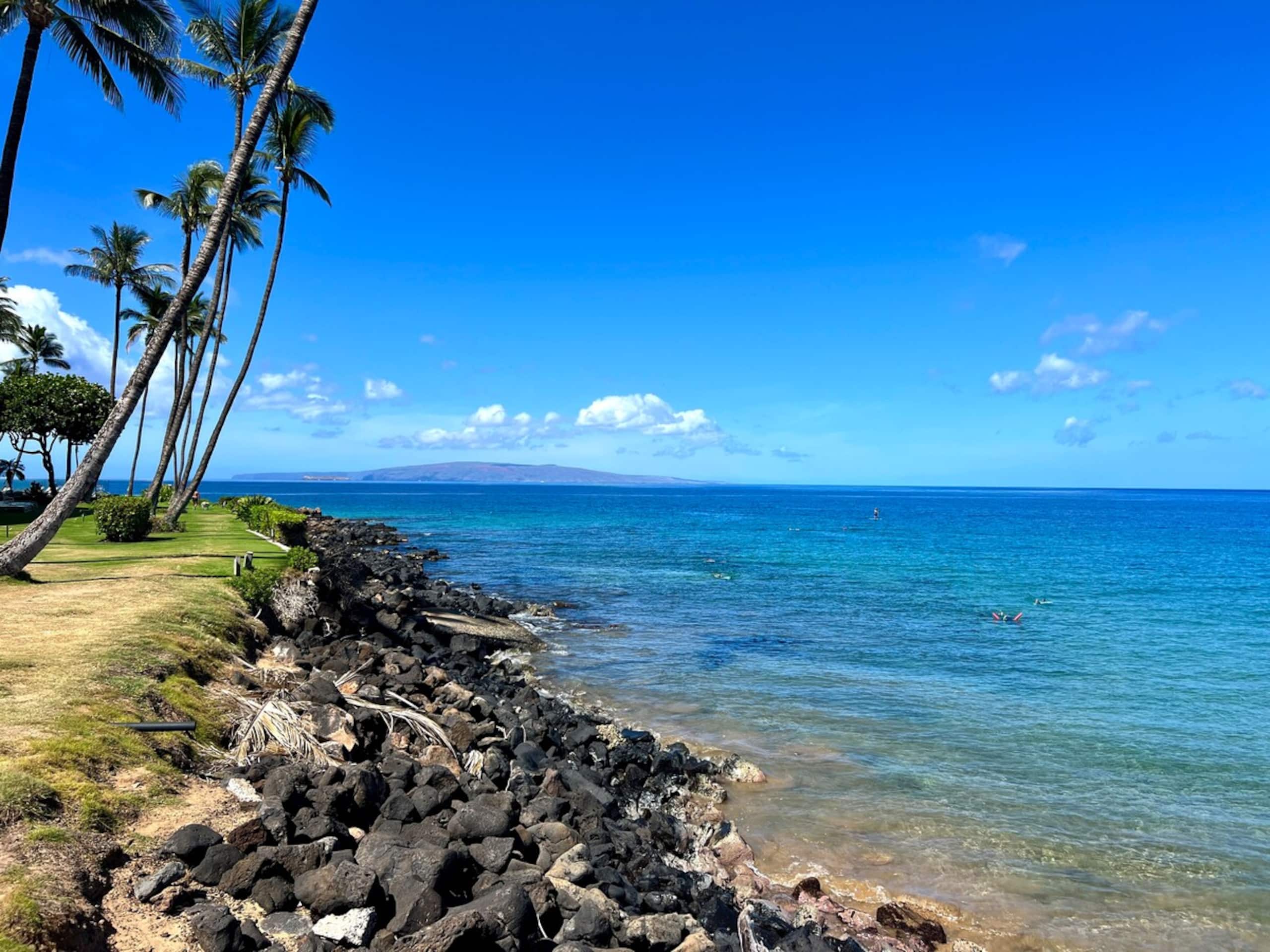Soothing Ocean View Retreat in Lovely Kihei - Photo 25