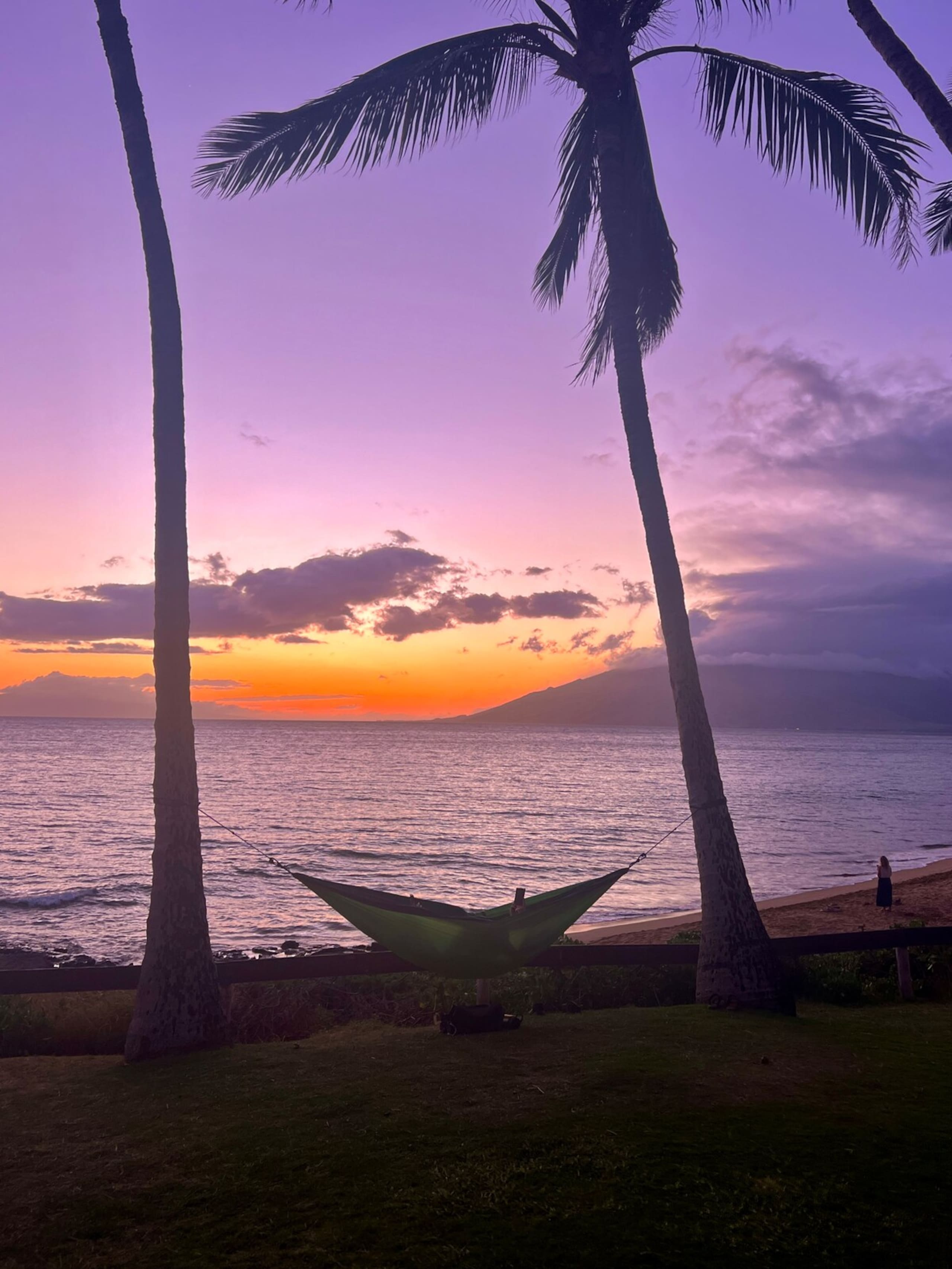 Soothing Ocean View Retreat in Lovely Kihei - Photo 28