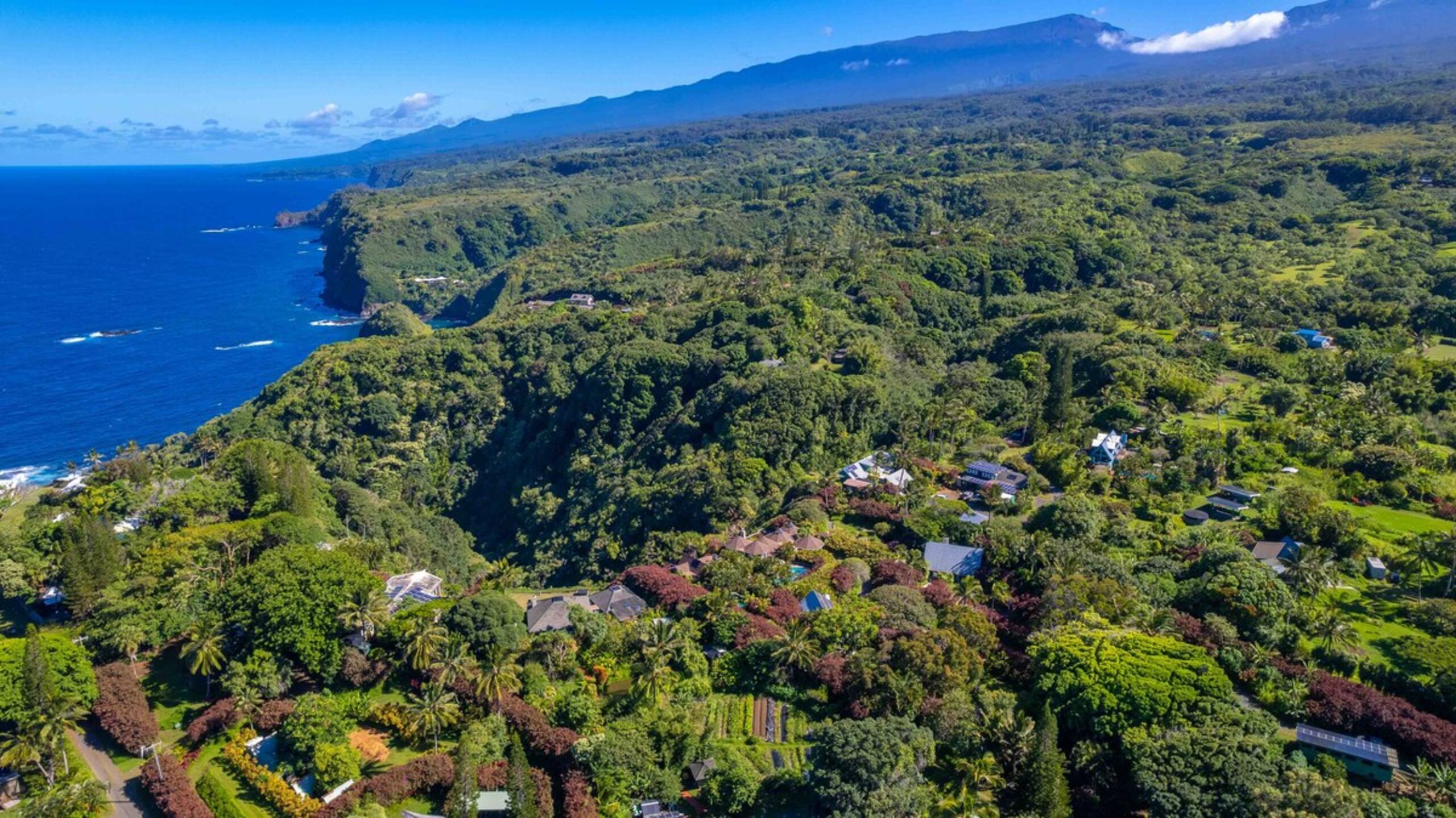 Plumeria Room Farm Stay in Haiku on Road to Hana - Photo 53