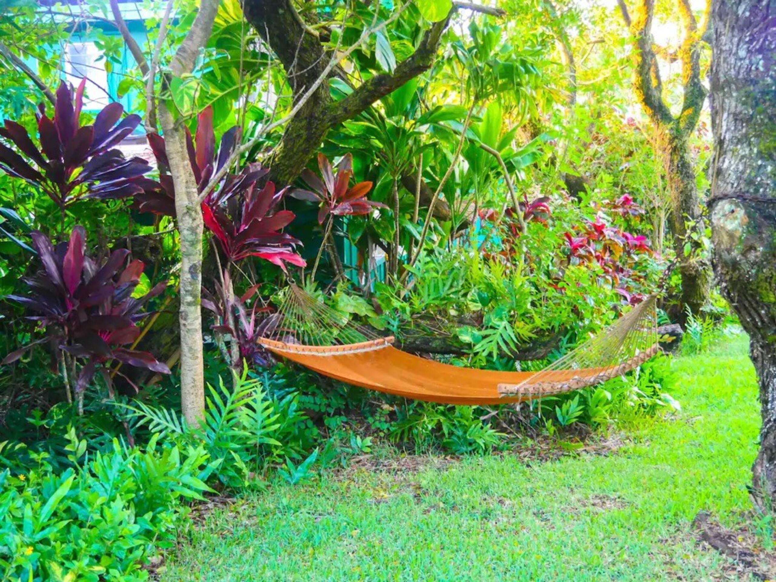 Plumeria Room Farm Stay in Haiku on Road to Hana - Photo 15