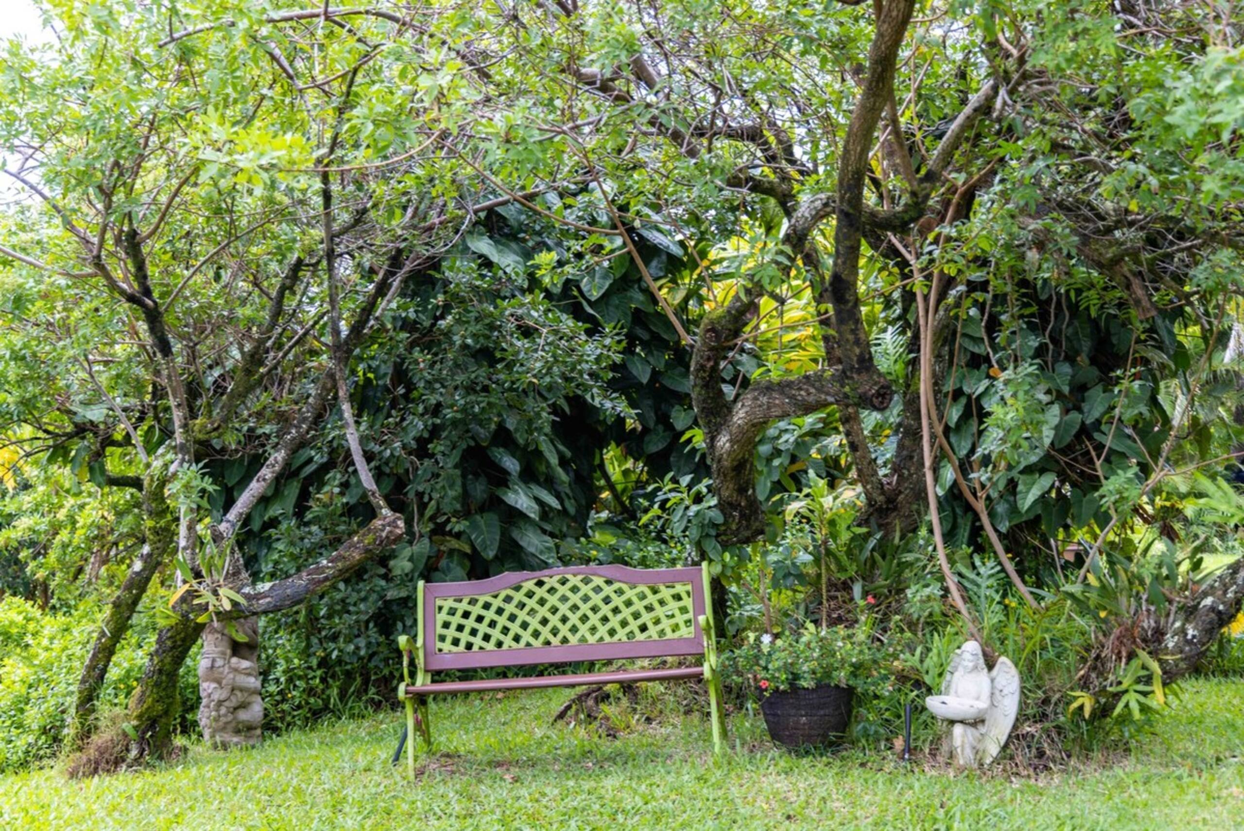 Plumeria Room Farm Stay in Haiku on Road to Hana - Photo 26