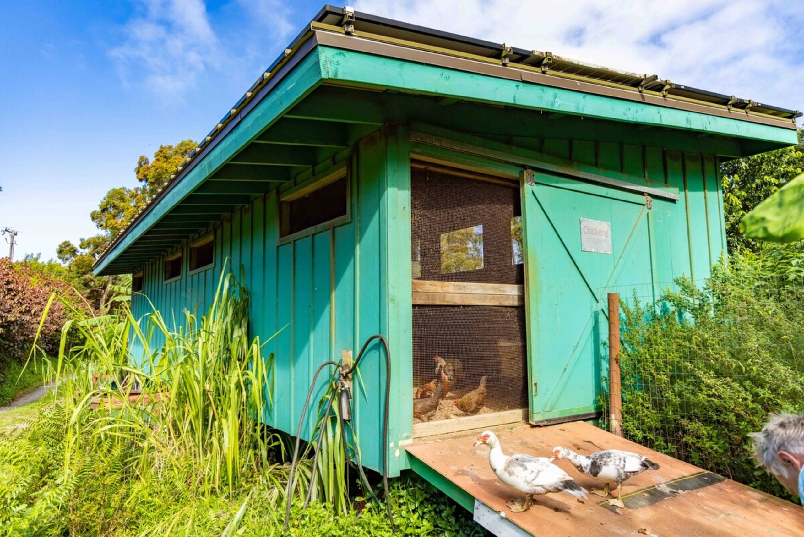 Plumeria Room Farm Stay in Haiku on Road to Hana - Photo 84