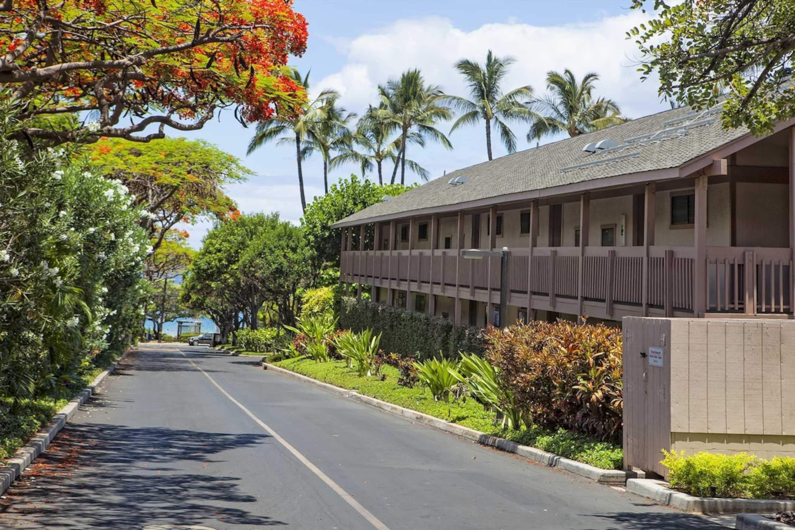 Kihei Akahi Resort - Unit C505 - Photo 35
