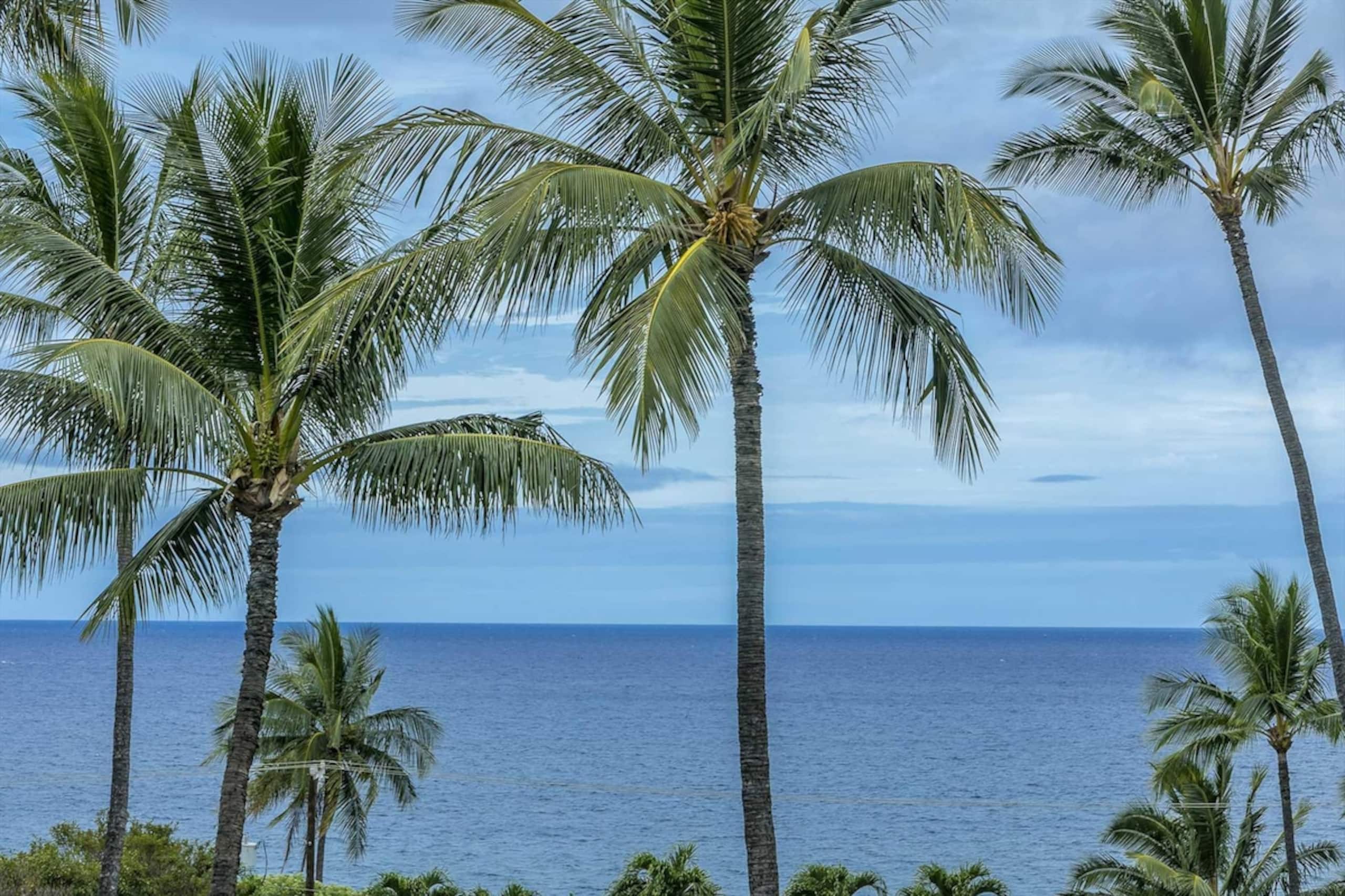 Kihei Akahi Resort - Unit C505 - Photo 8