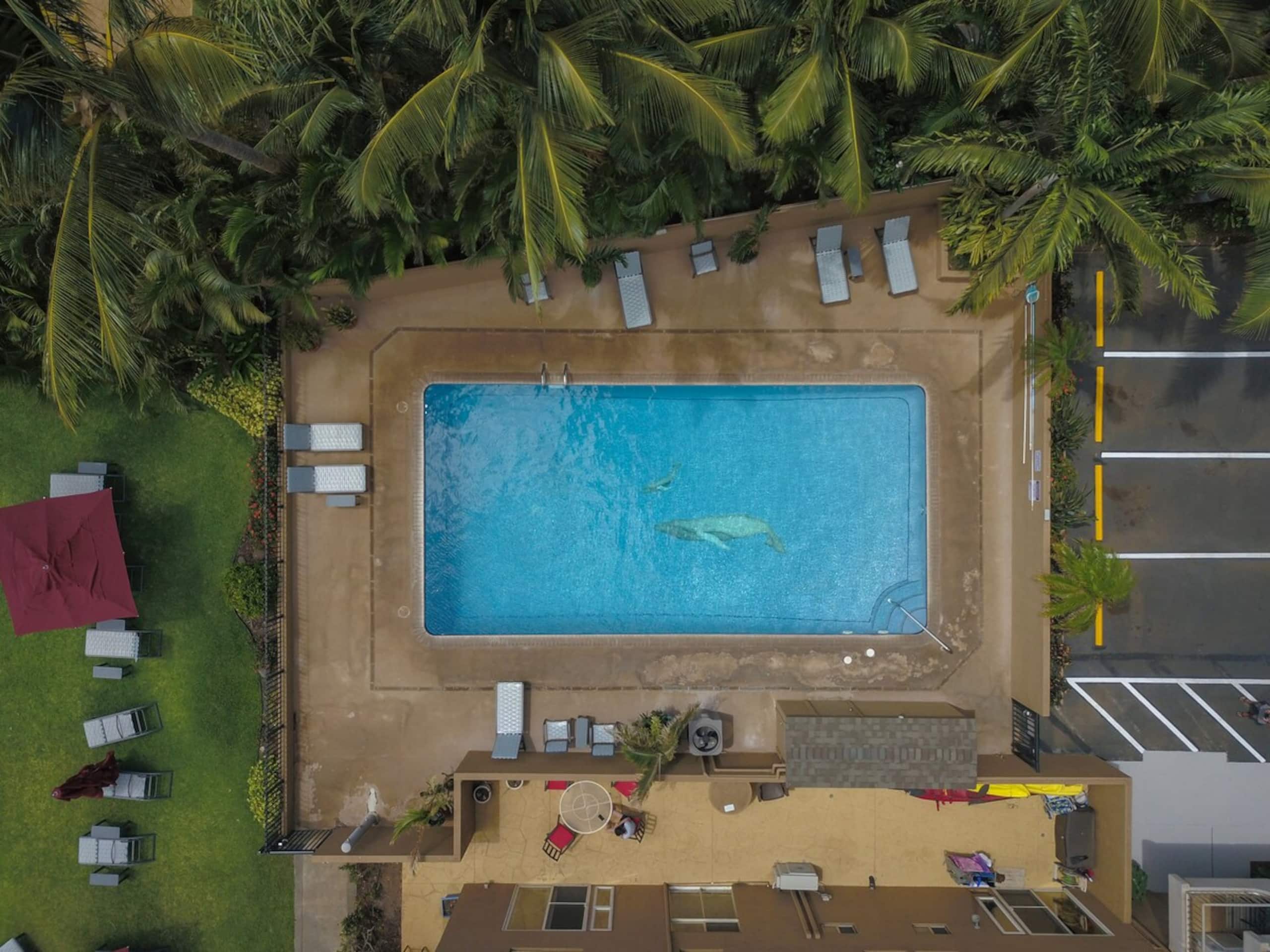 Nani Kai Hale 507 Beachfront Maui Condo - Photo 22