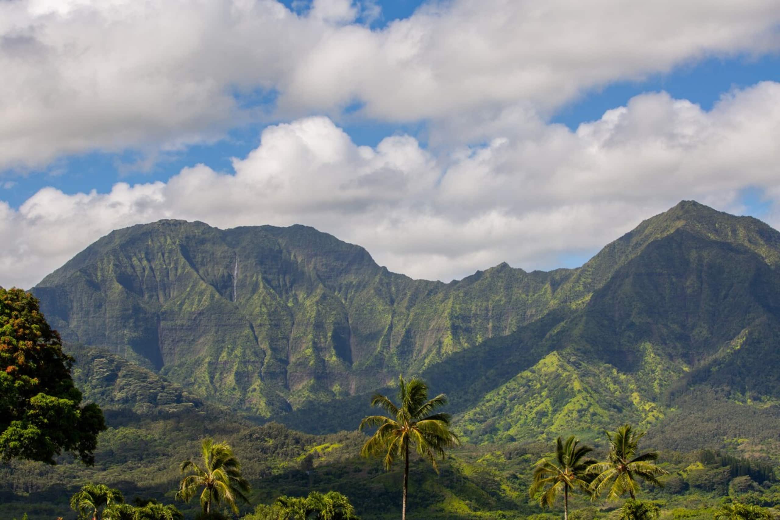 Pohaku Kauai by Gather: Garden Views Near Hanalei - Photo 28