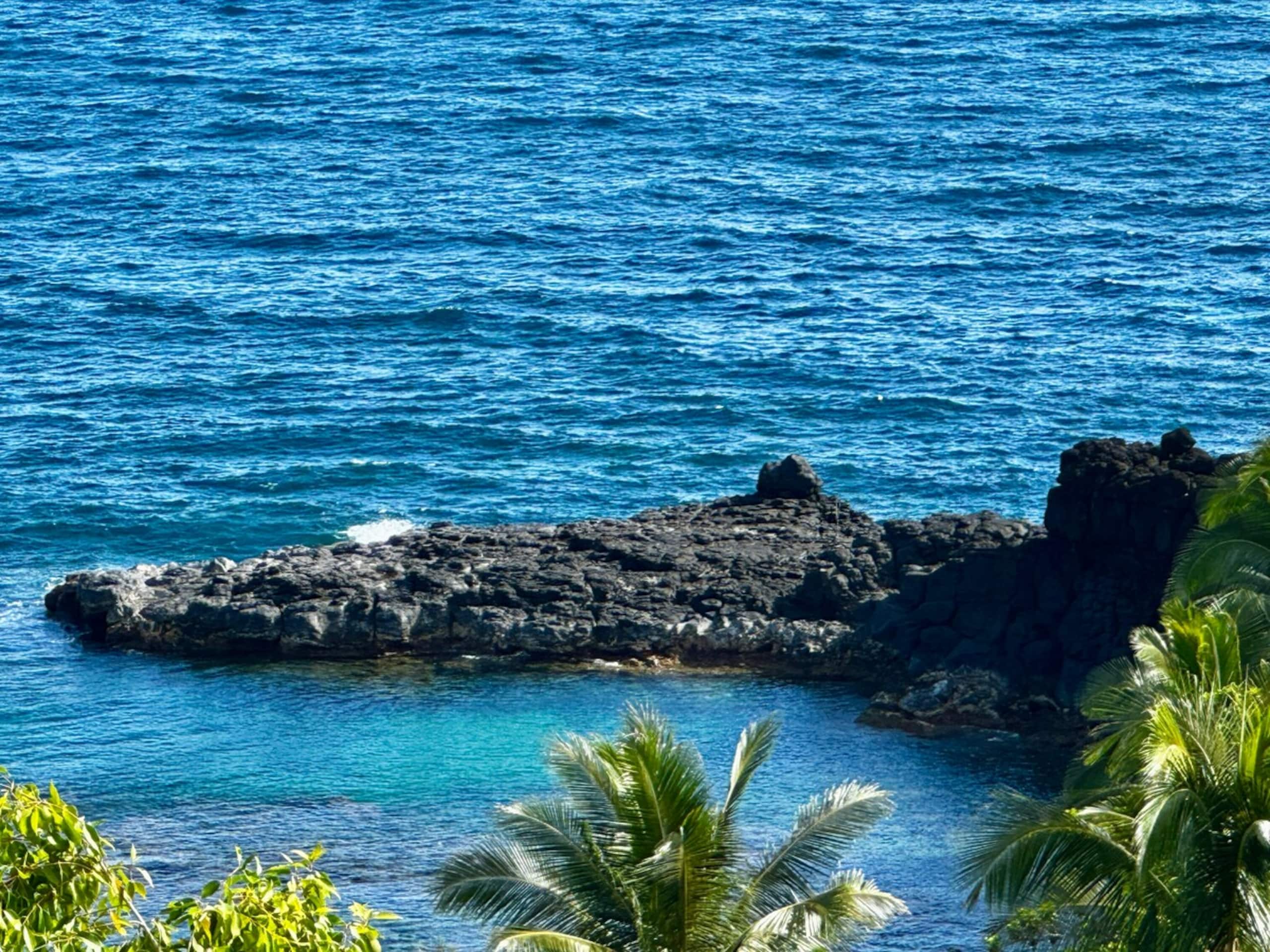 Princeville Studio in Sandpiper - Photo 29