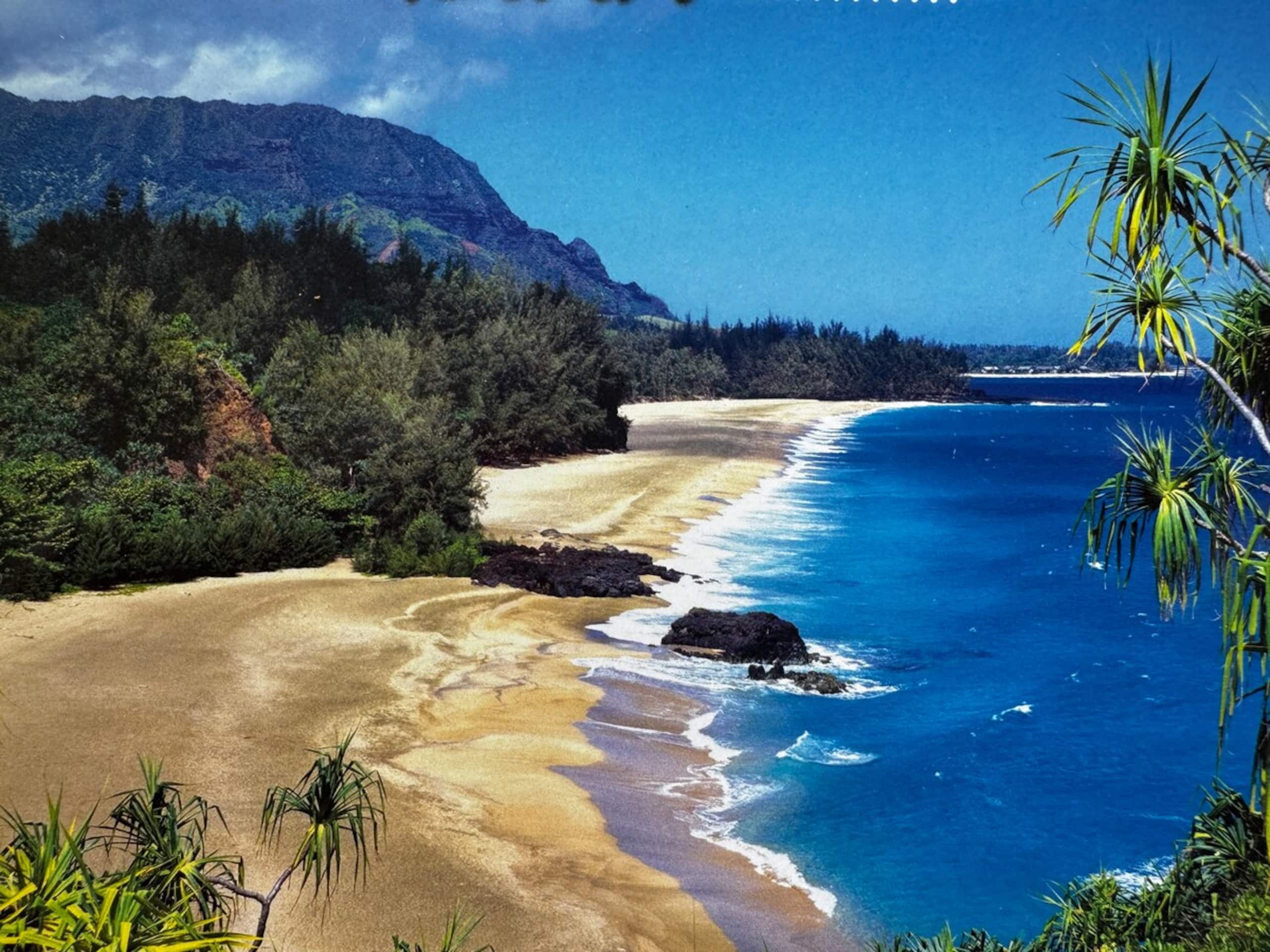 Princeville Studio in Sandpiper - Photo 35