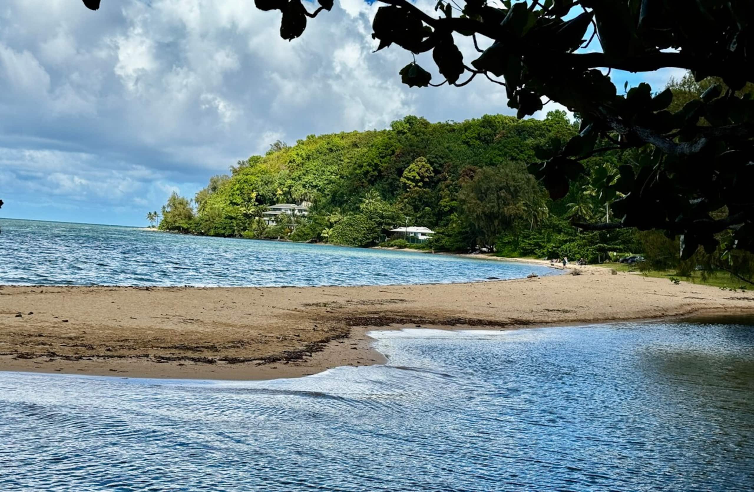 Princeville Studio in Sandpiper - Photo 31