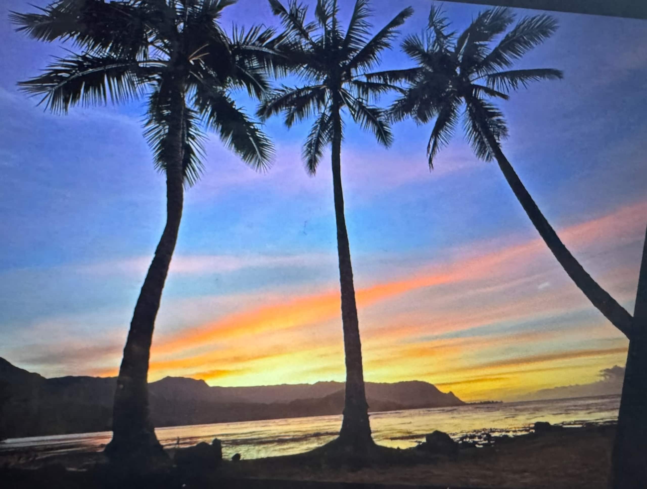 Princeville Studio in Sandpiper - Photo 9