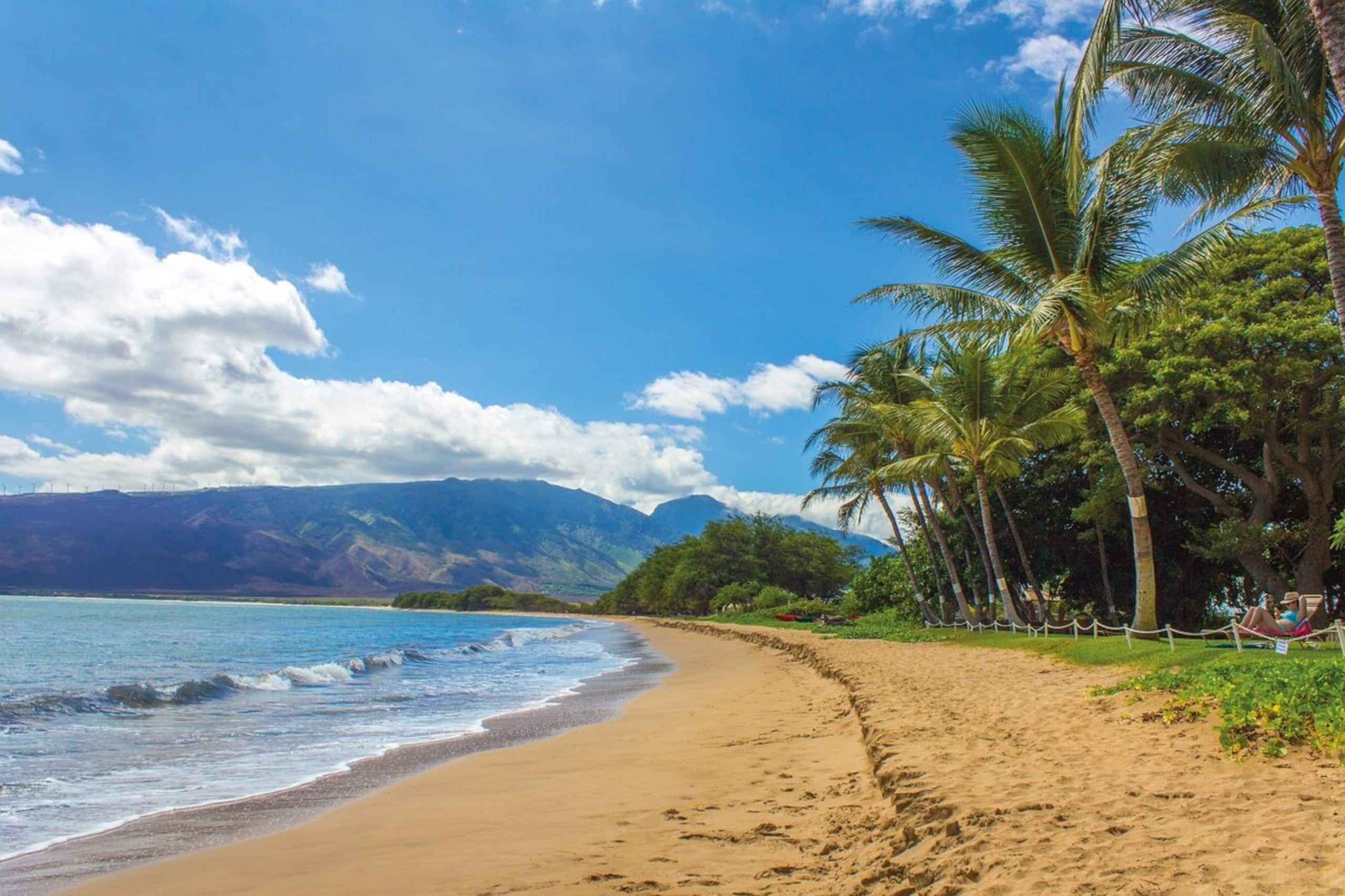 5BD A/C Hanalei Home, short walk to Shops & Beach - Photo 44