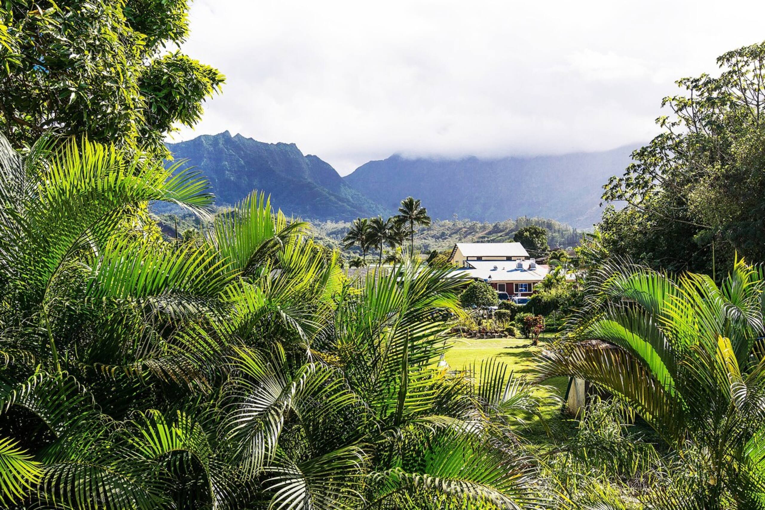 5BD A/C Hanalei Home, short walk to Shops & Beach - Photo 36