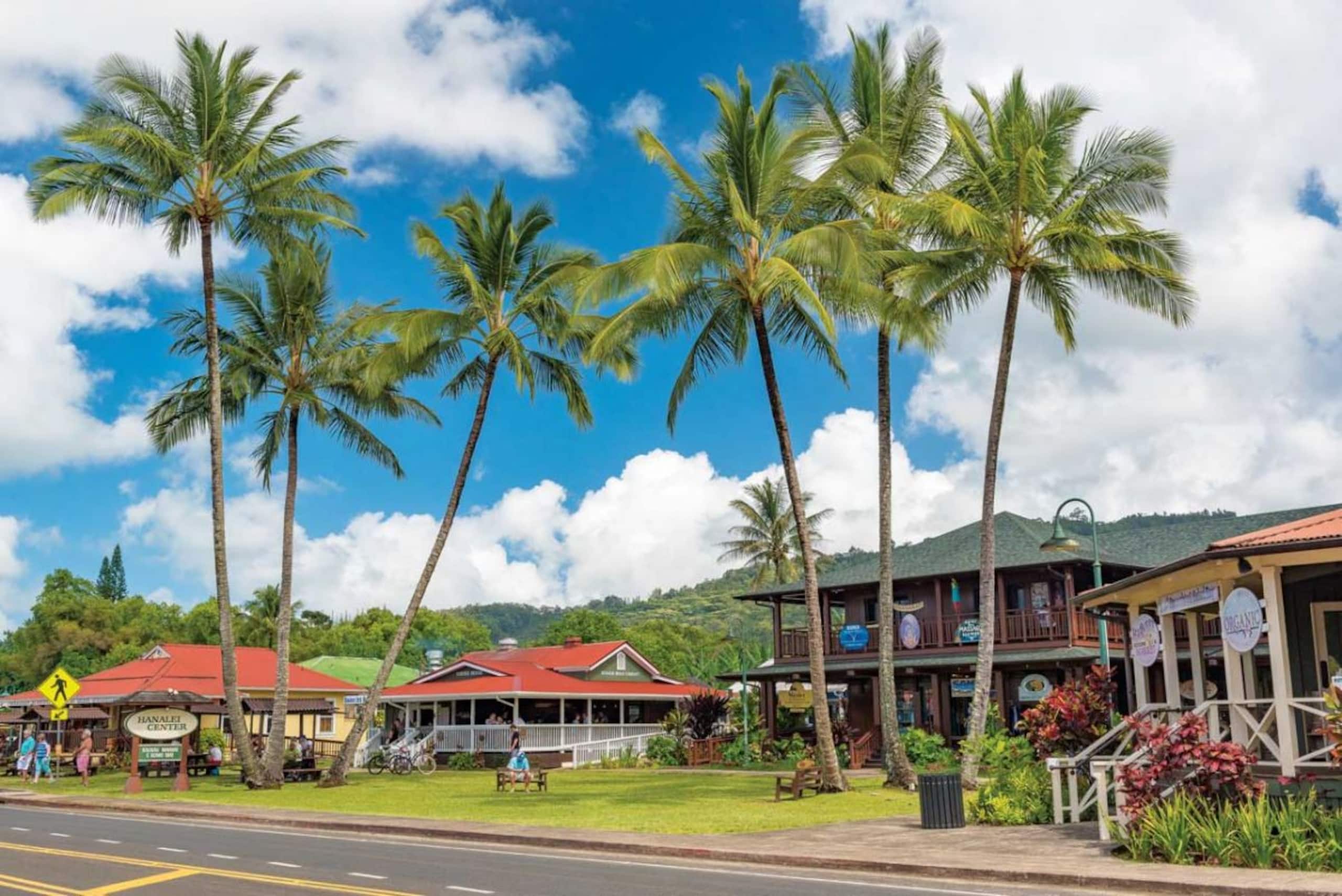 5BD A/C Hanalei Home, short walk to Shops & Beach - Photo 41