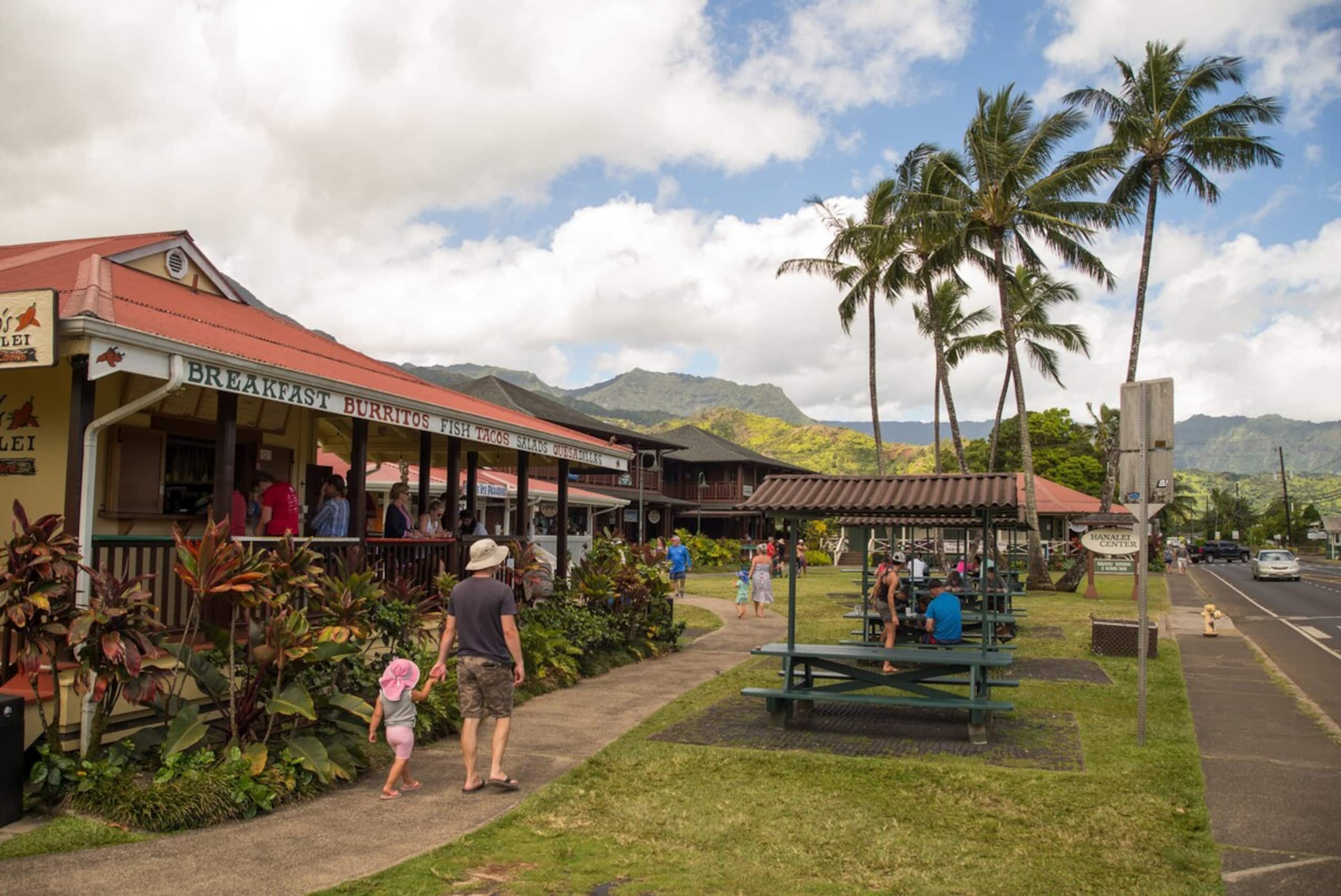 5BD A/C Hanalei Home, short walk to Shops & Beach - Photo 39