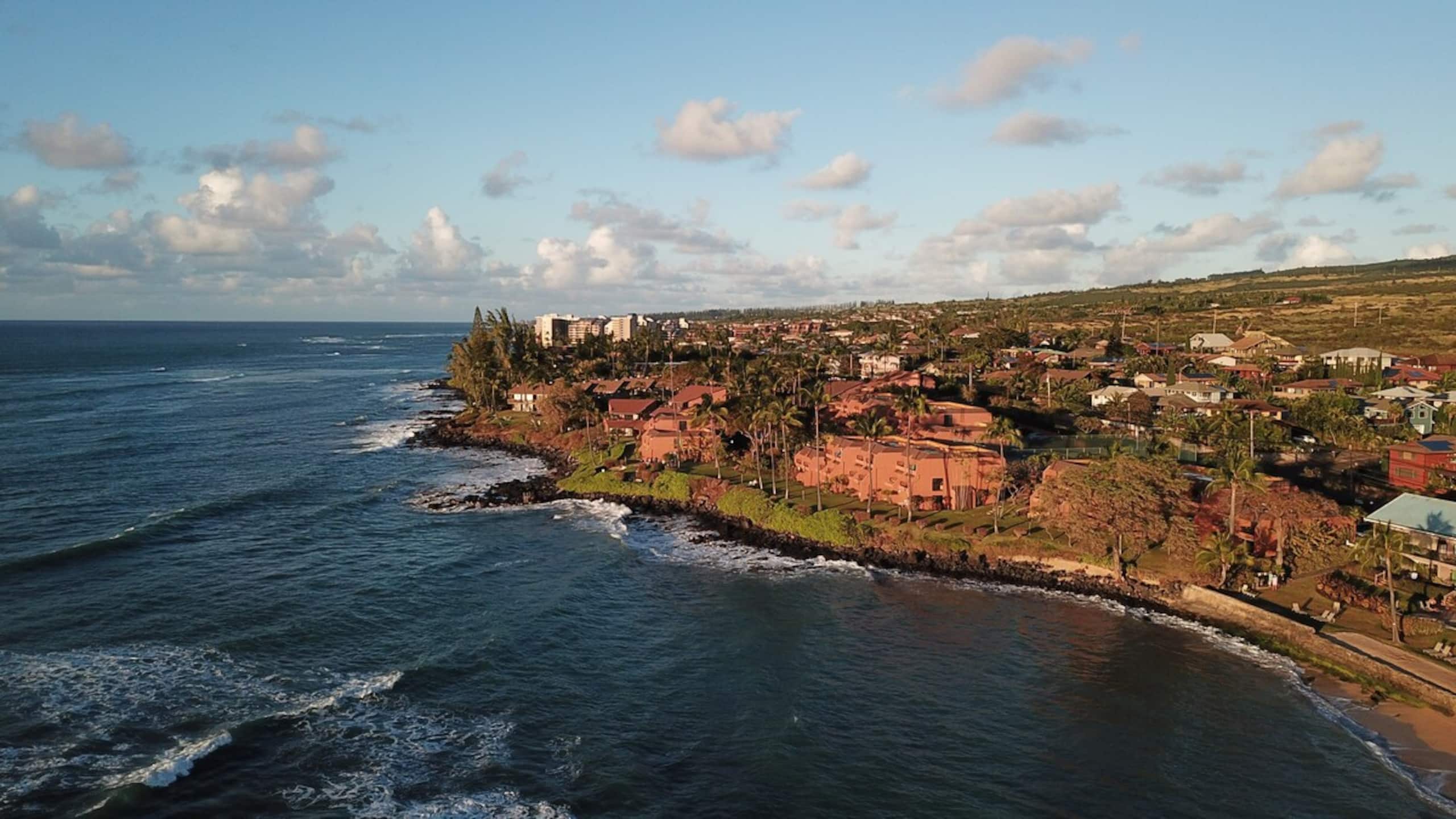 Direct oceanfront 1BR Condo - turtle sanctuary - Photo 14