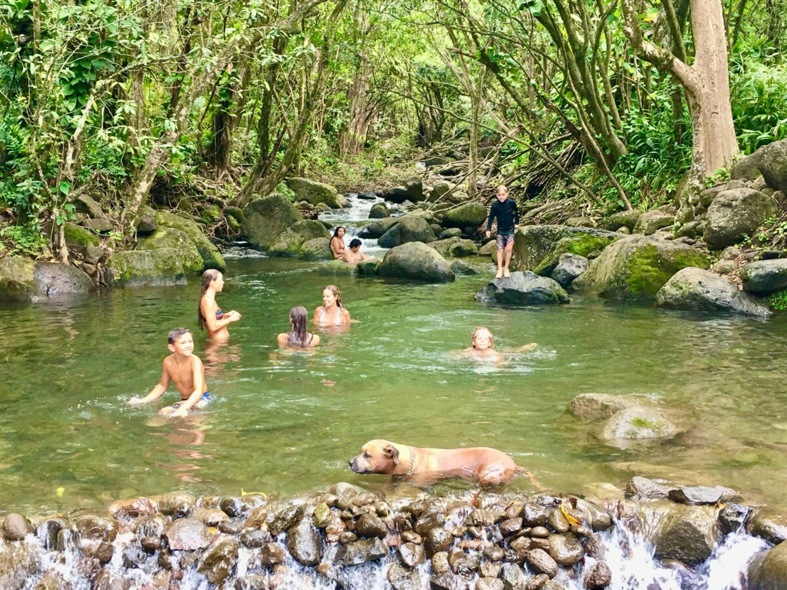 Fresh, Bright, Cute HomeClose to Hanalei - Photo 34