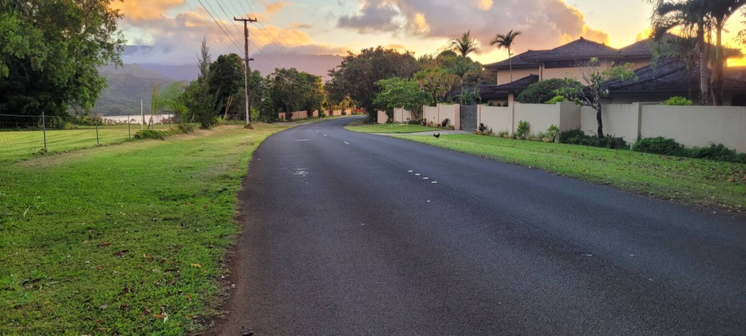Fresh, Bright, Cute HomeClose to Hanalei - Photo 26