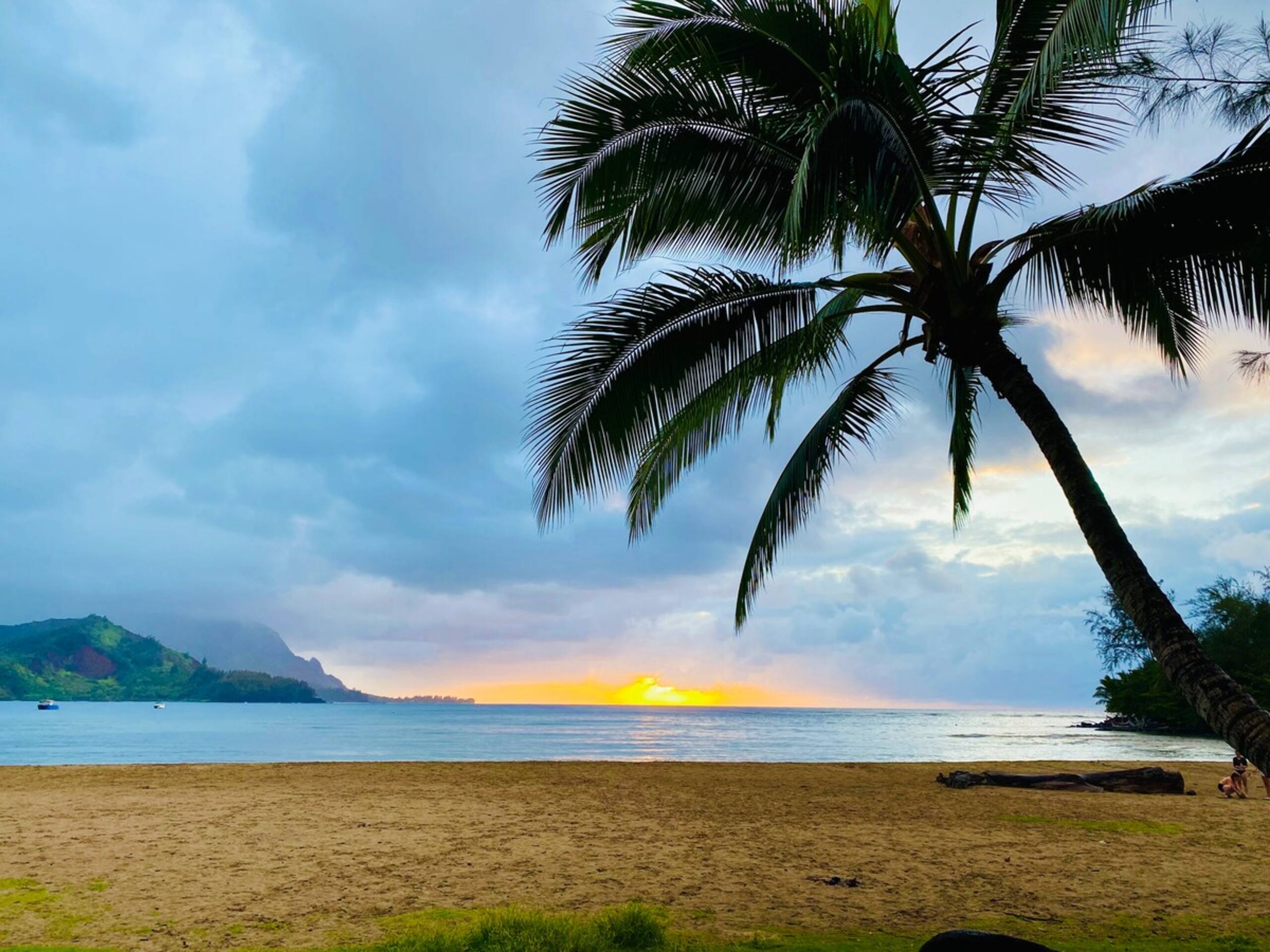 Fresh, Bright, Cute HomeClose to Hanalei - Photo 41