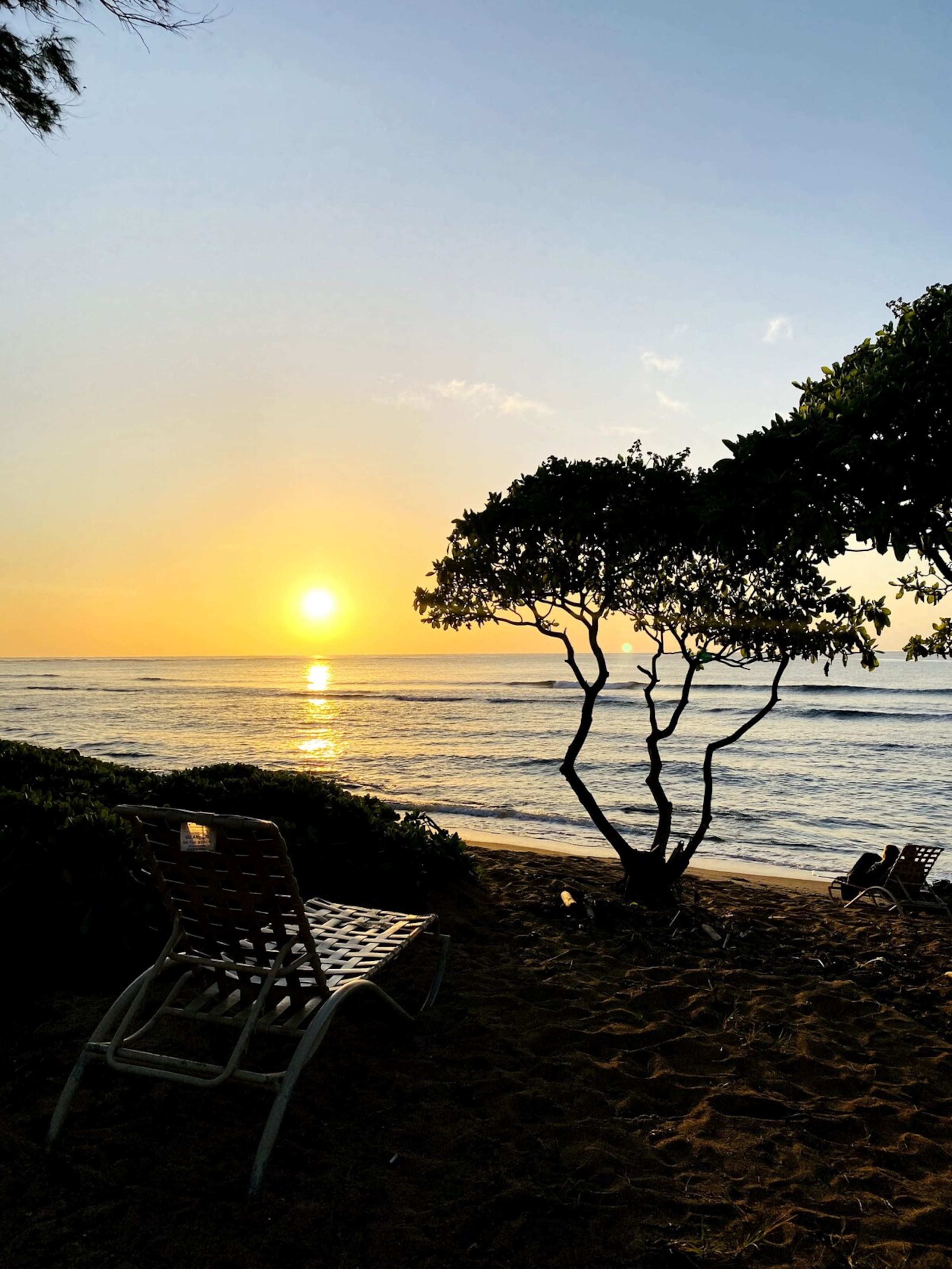 Oceanfront Studio 147, Islander on the Beach - Photo 27