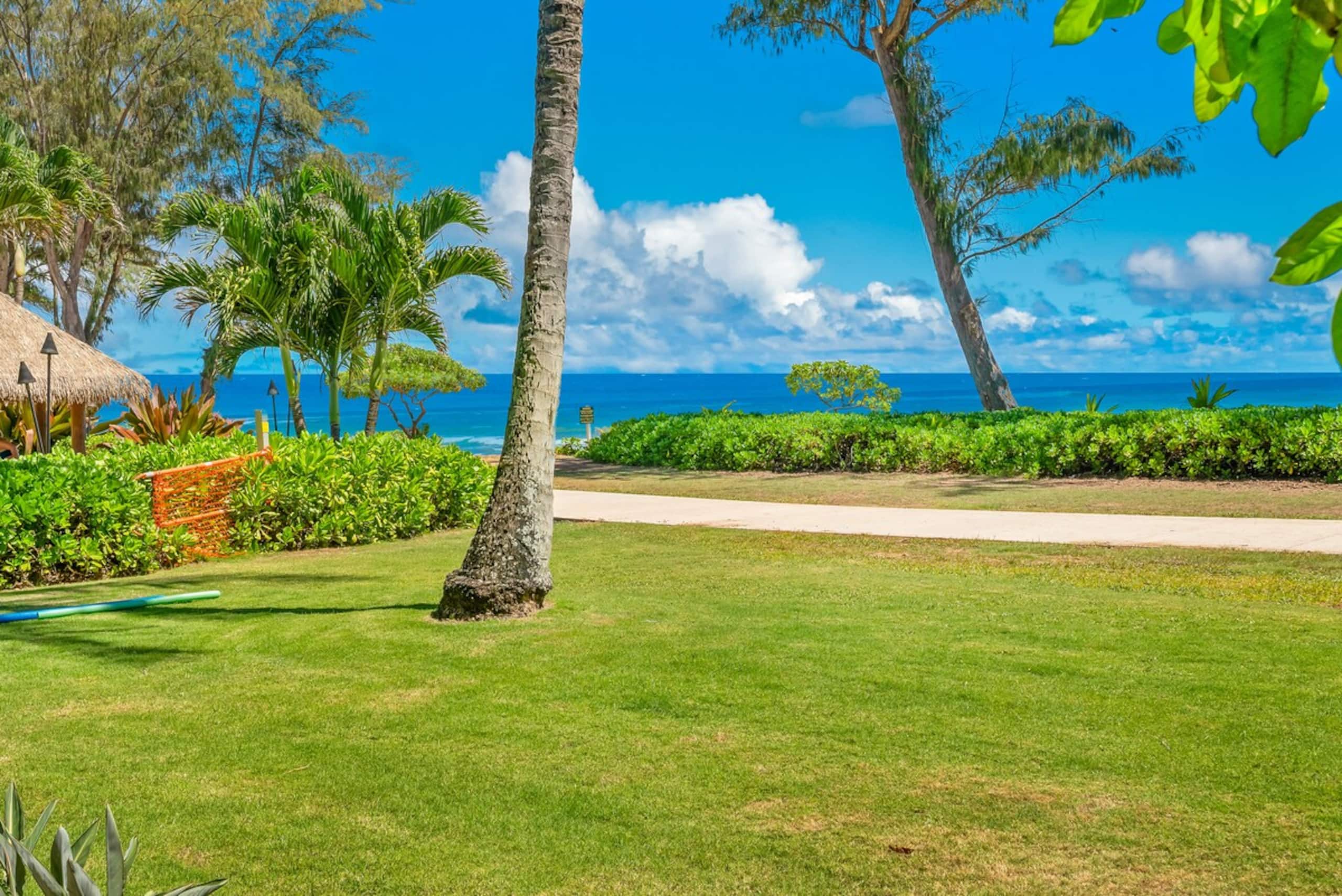 Oceanfront Studio 147, Islander on the Beach - Photo 24