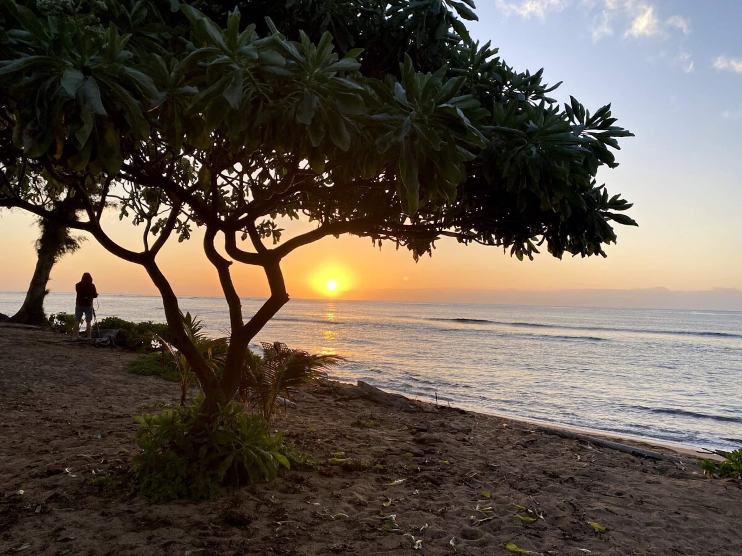 Oceanfront Studio 147, Islander on the Beach - Photo 28