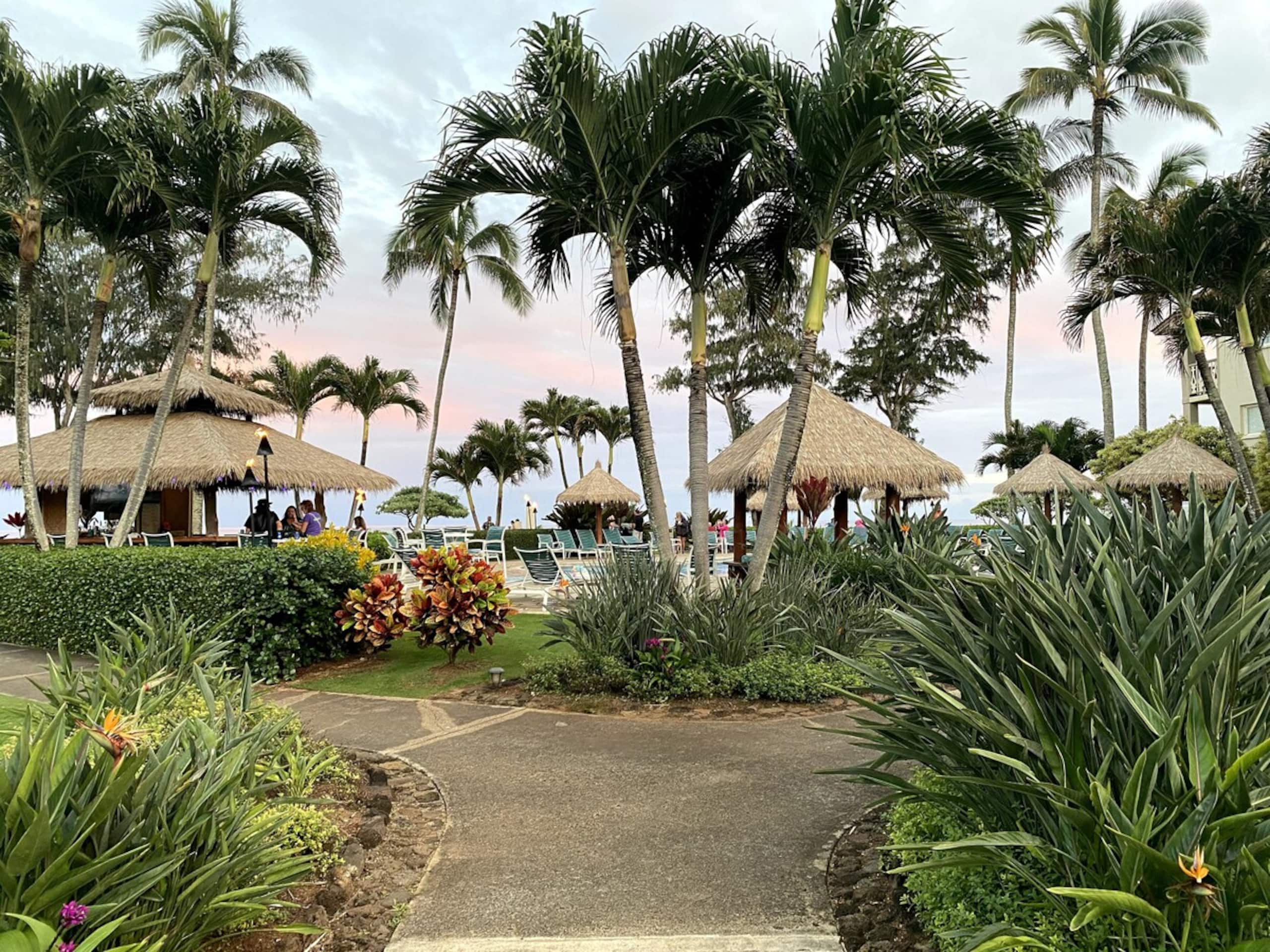 Oceanfront Studio 147, Islander on the Beach - Photo 19