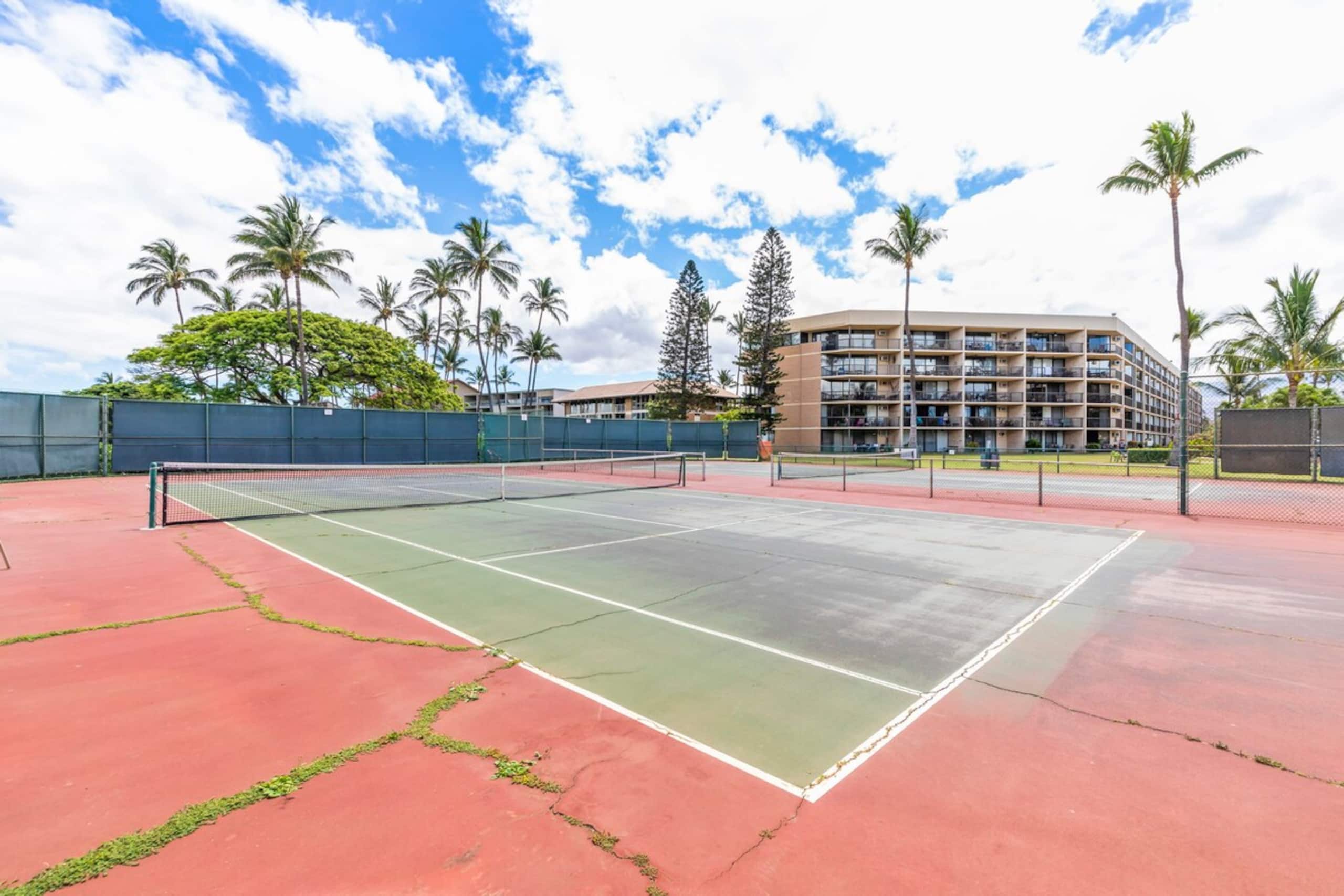 Maui is Open - Come Support the Locals - Photo 49