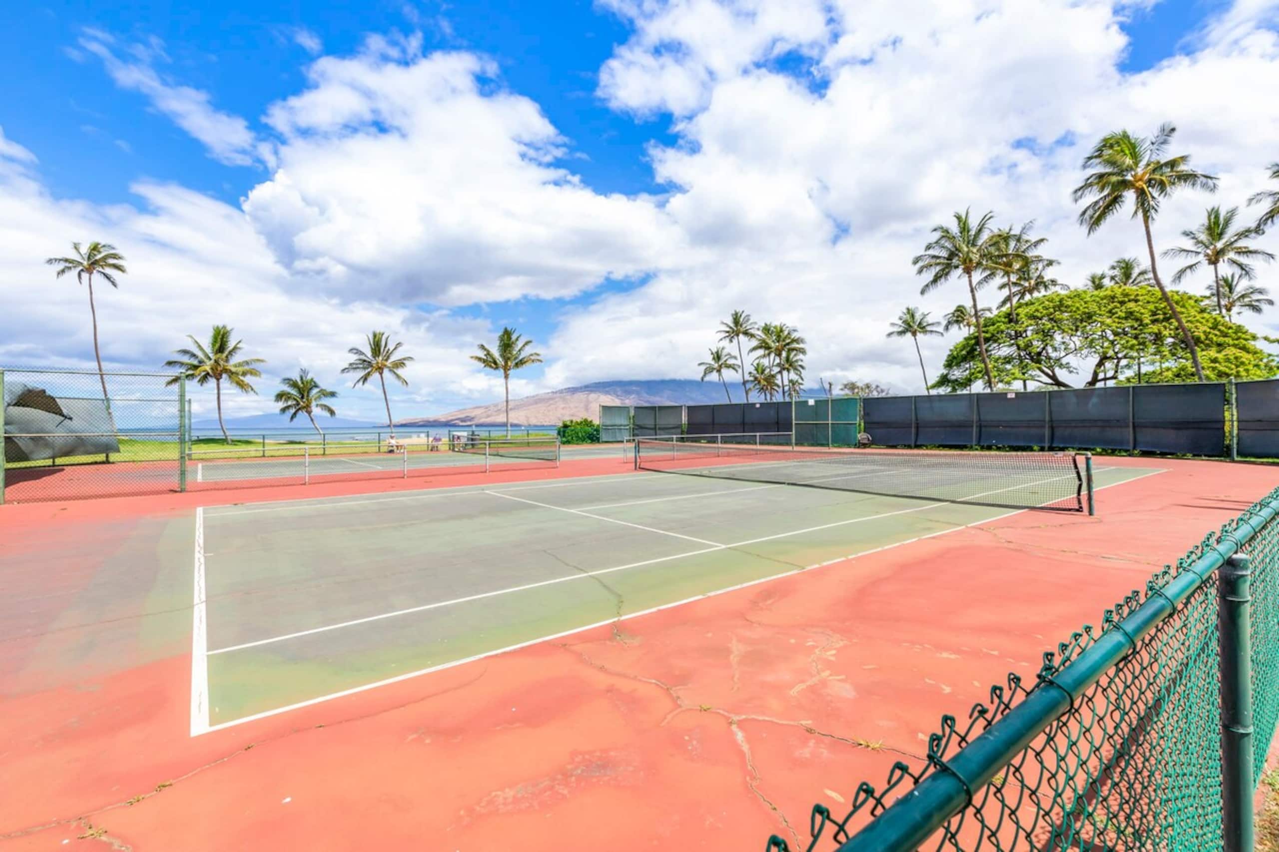 Maui is Open - Come Support the Locals - Photo 48