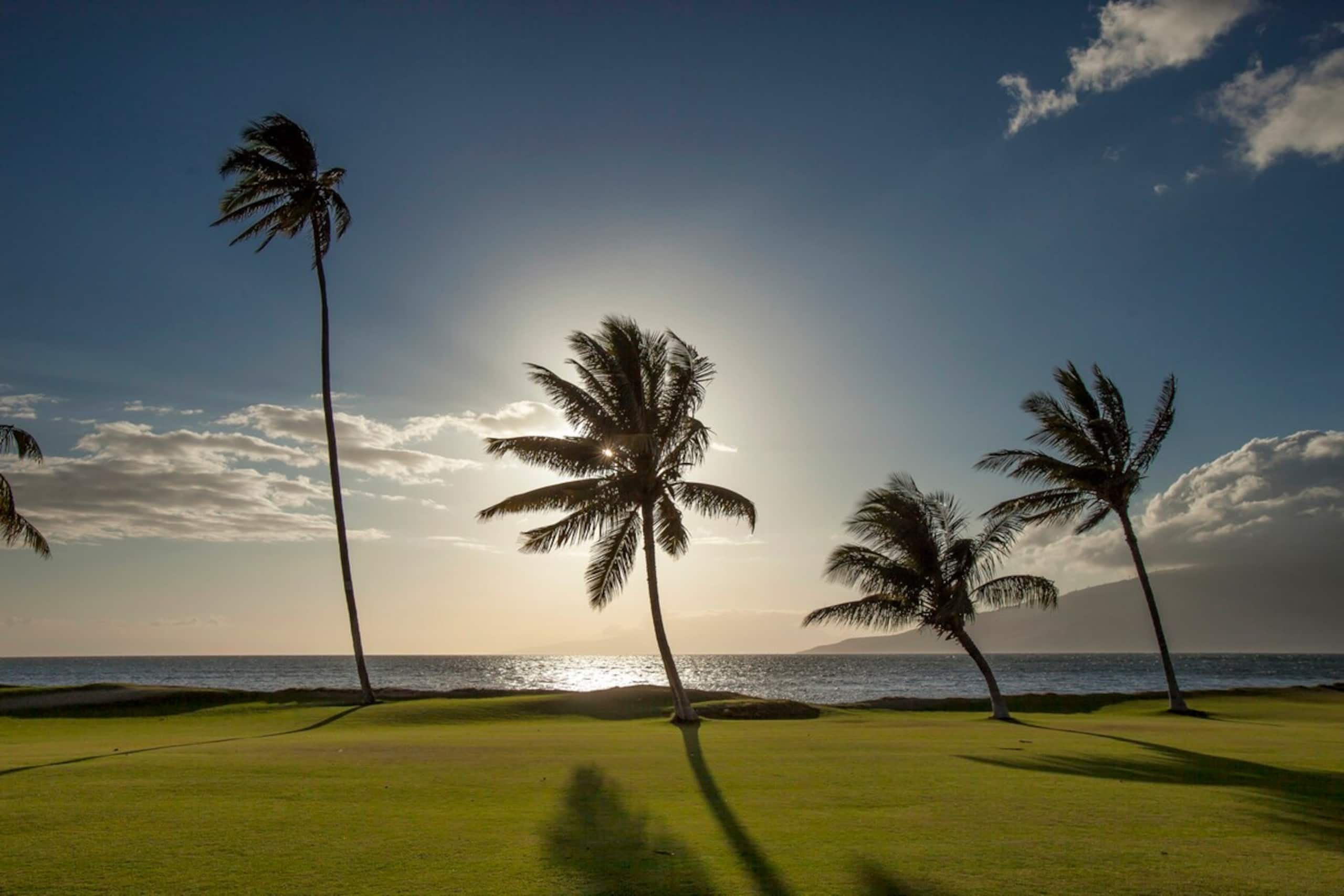 Oceanfront Complex, Wifi, Great Rates MSA407 - Photo 24