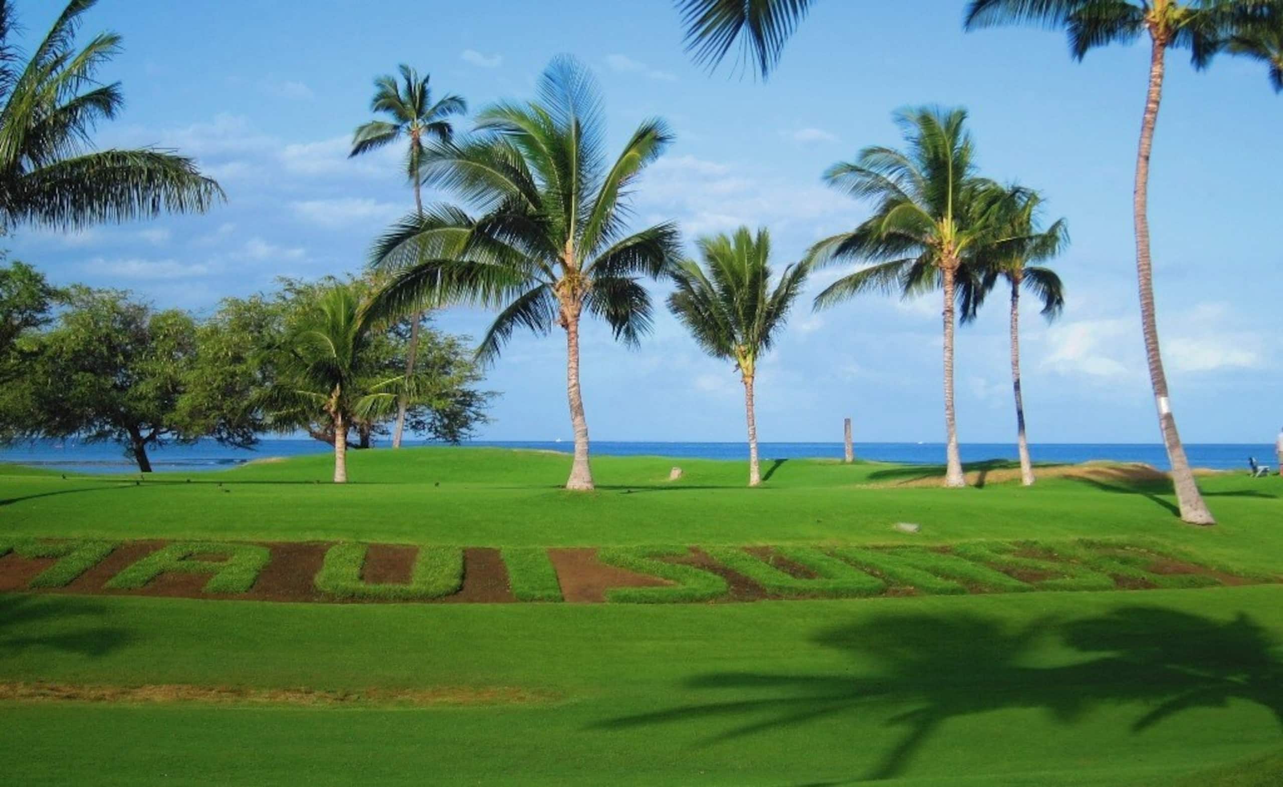 Oceanfront Complex, Wifi, Great Rates MSA407 - Photo 31
