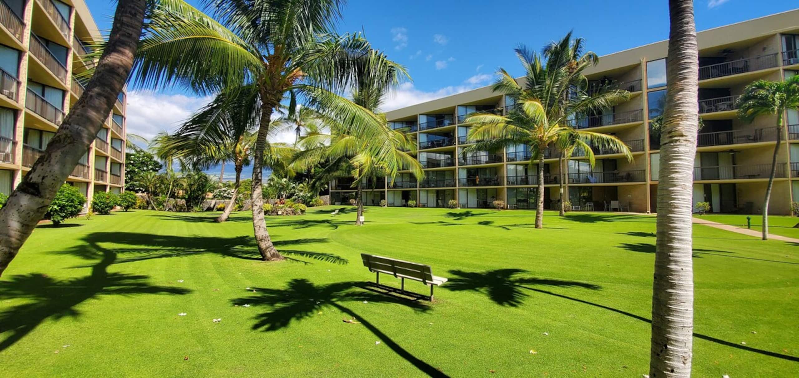 Oceanfront Complex, Wifi, Great Rates MSA407 - Photo 26