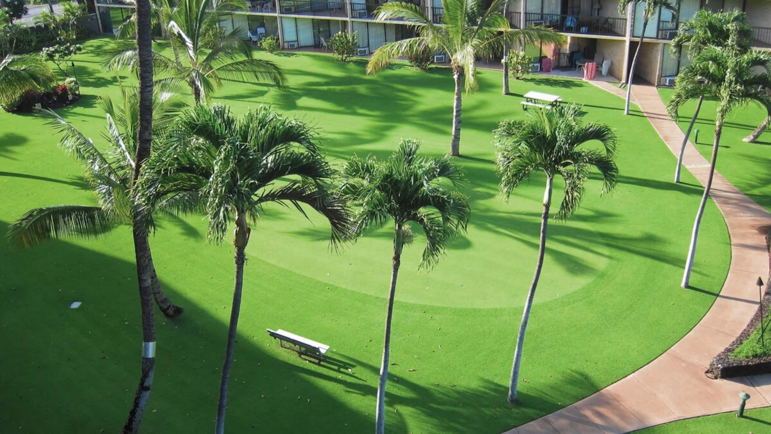 Oceanfront Complex, Wifi, Great Rates MSA407 - Photo 22