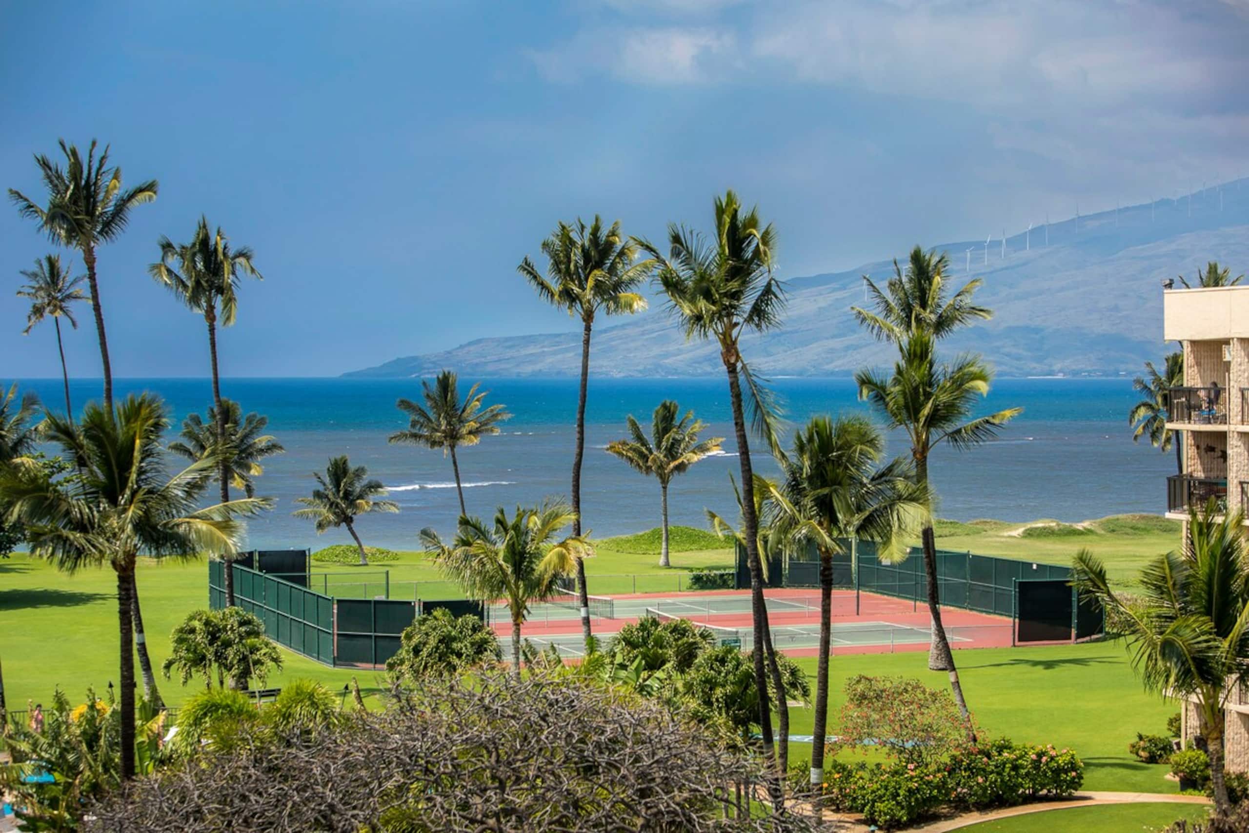 Oceanfront Complex, Wifi, Great Rates MSA407 - Main photo