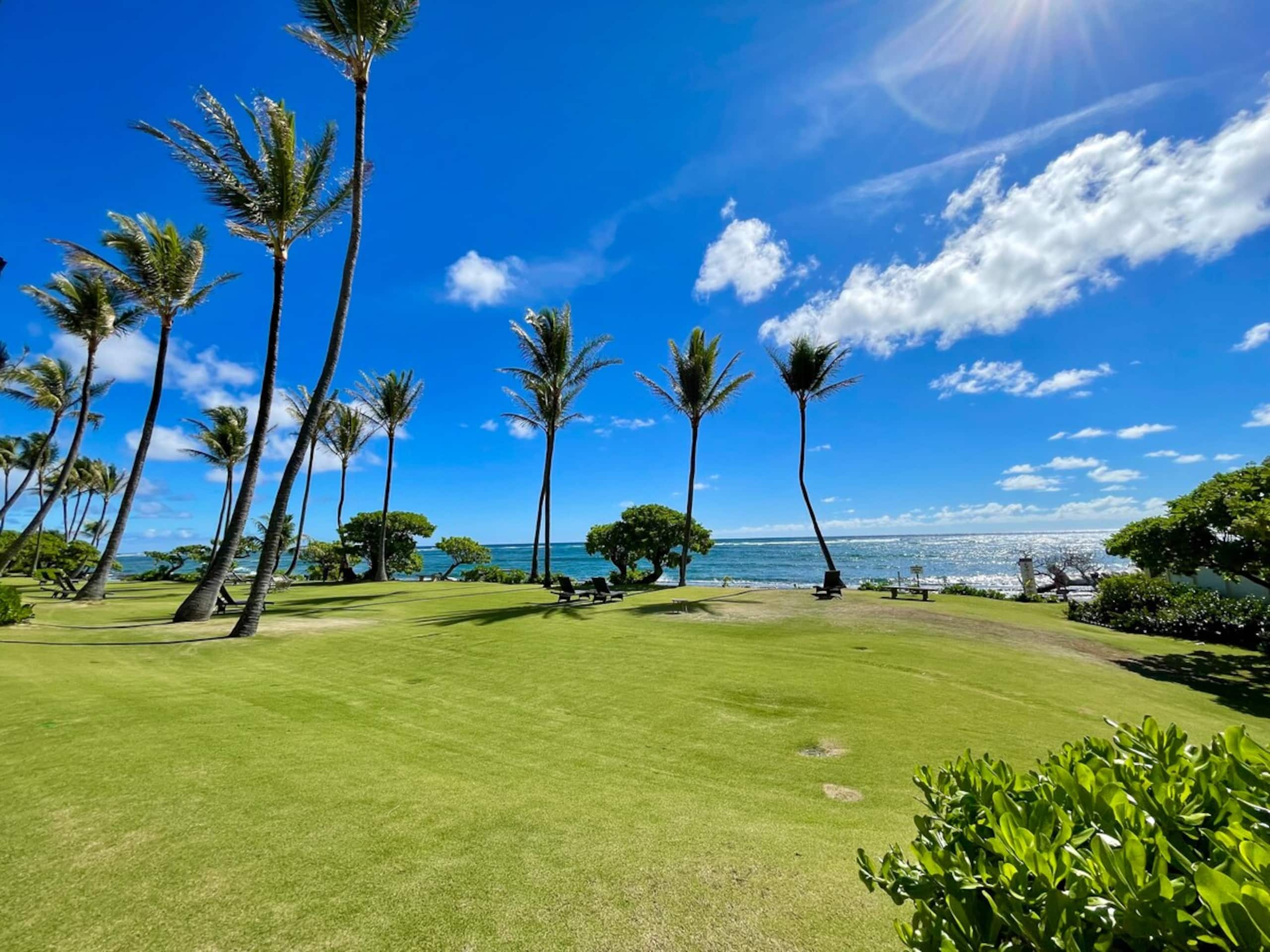 Kapaa Shore Resort A101, Oceanfront, End Unit - Photo 37