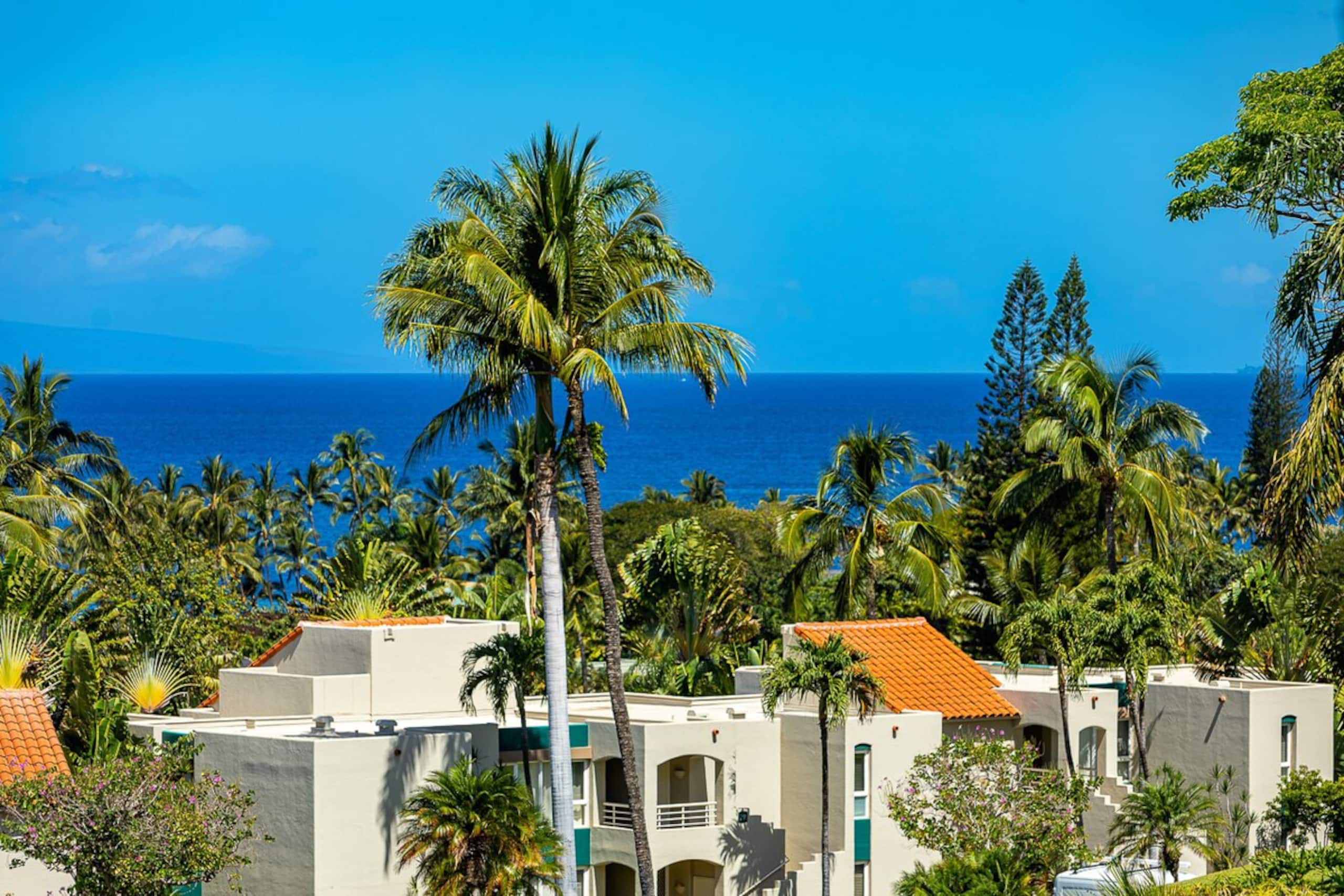 Ocean view condo w/ pool and hot tub - Photo 48