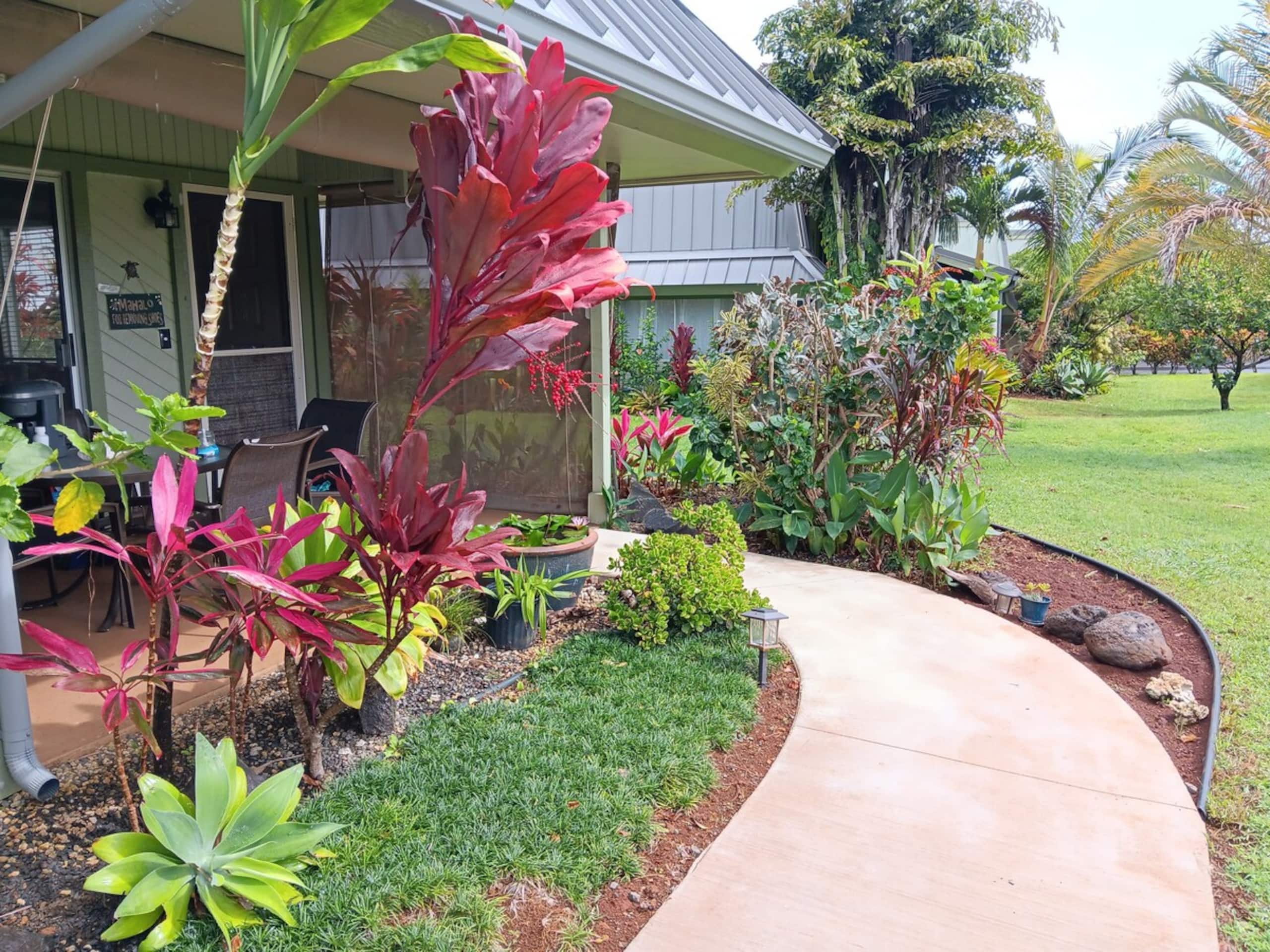 Aloha Zen OasisHawaii lifestyle Pool No stairs - Photo 20