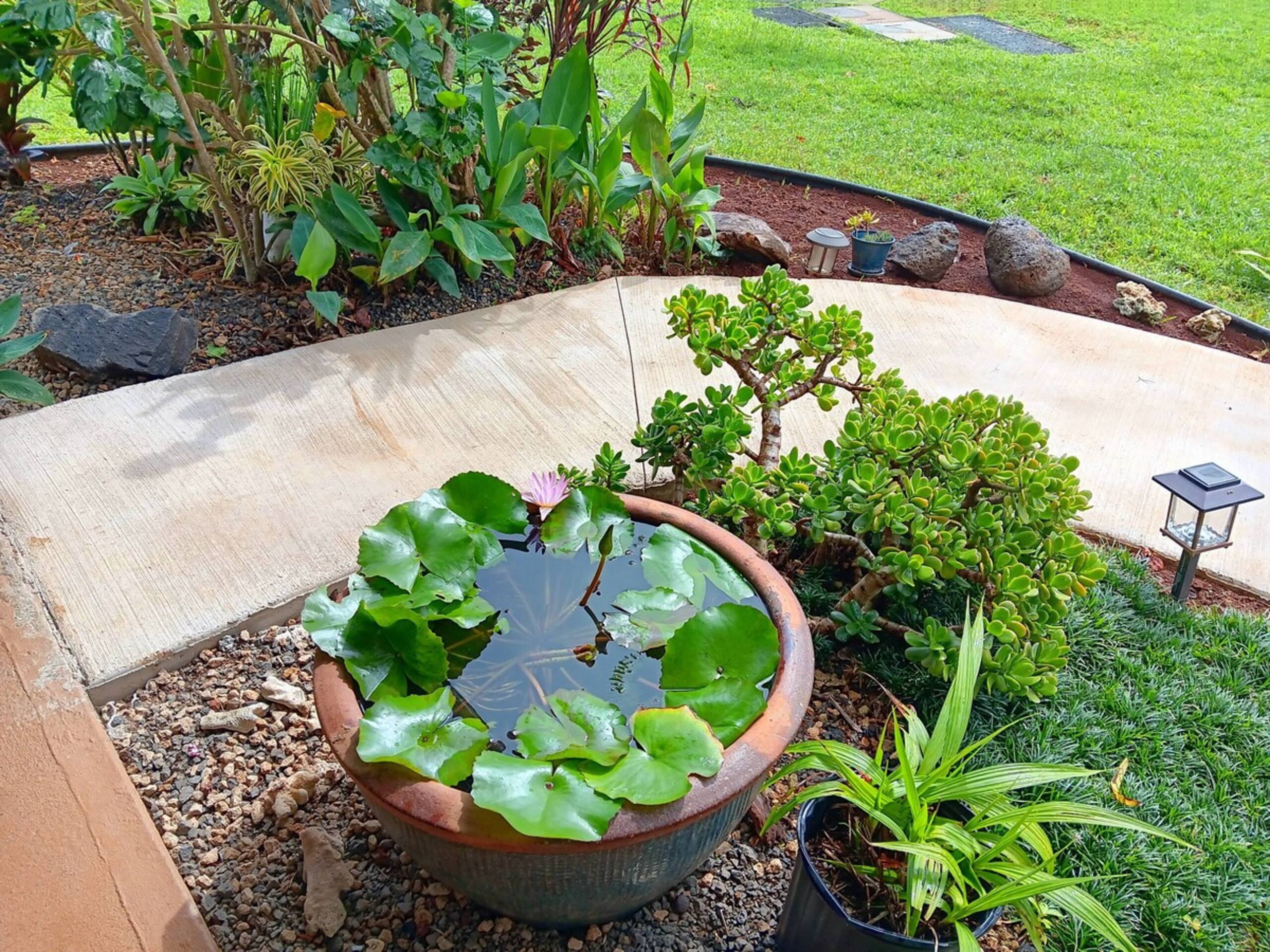 Aloha Zen OasisHawaii lifestyle Pool No stairs - Photo 18