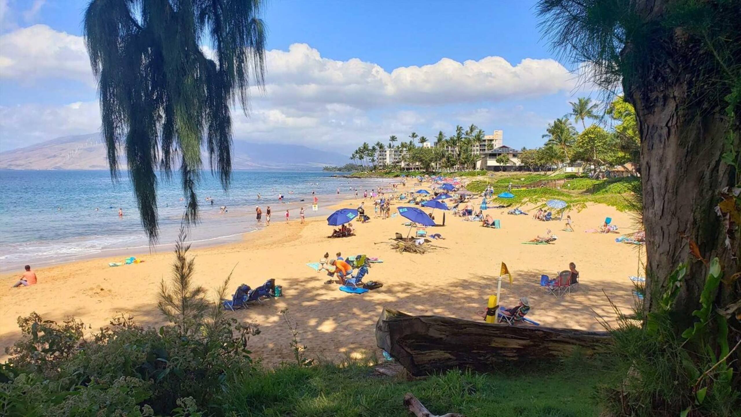 Kihei Akahi Resort C618 - 2-Way Split AC - Top Flo - Photo 52