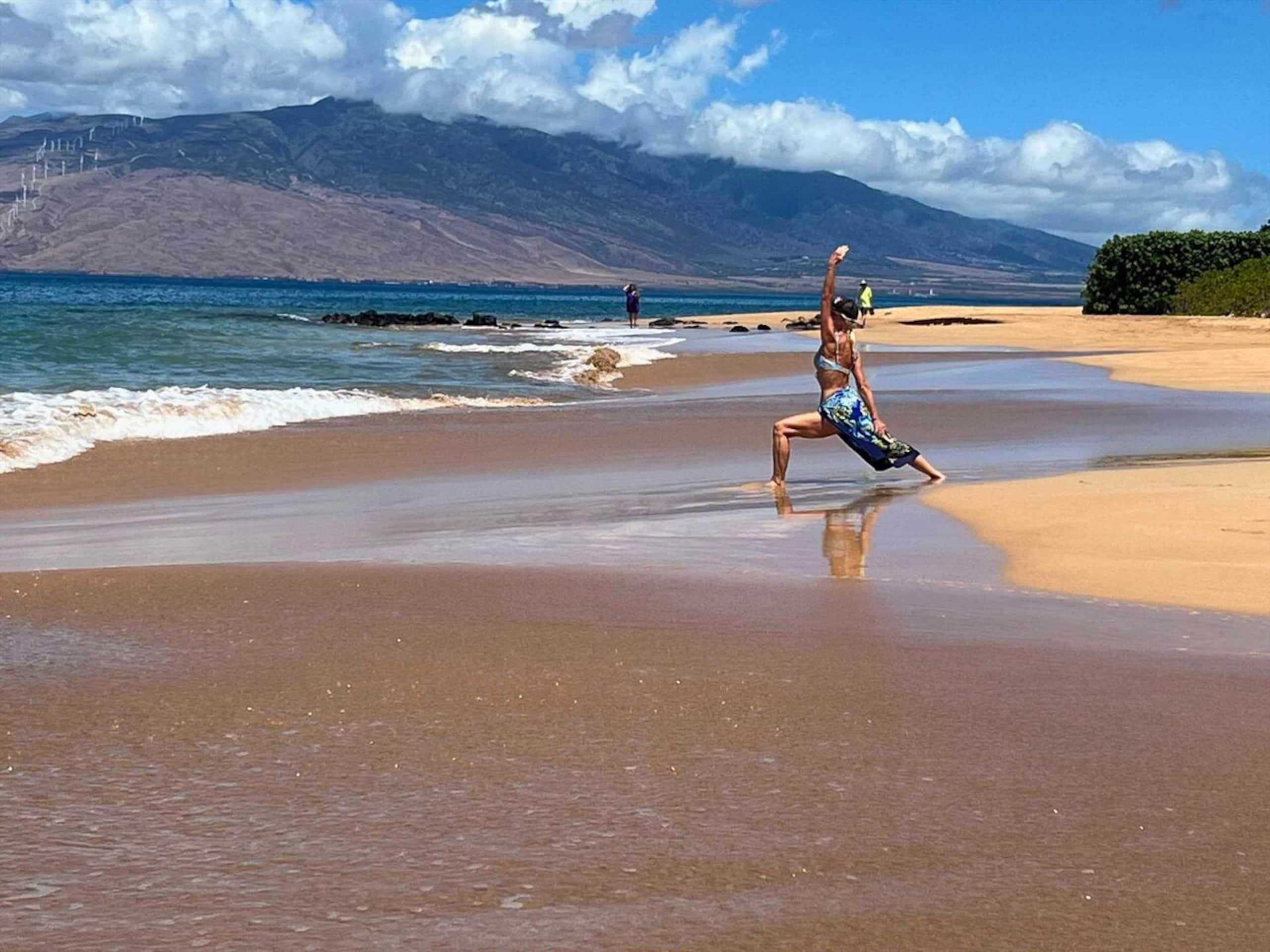 Kihei Akahi Resort C618 - 2-Way Split AC - Top Flo - Photo 55