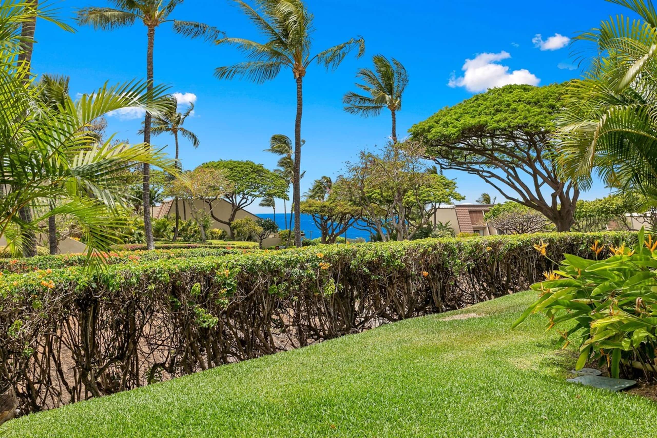 Oceanview, no stairs and a Murphy Bed at Maui Kam - Photo 15