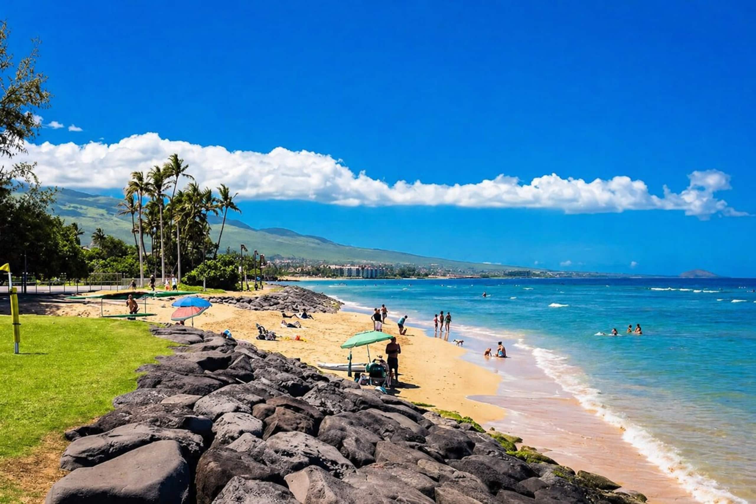 Aloha Escape. Easy Walk to Beach & Kalama Park - Photo 20