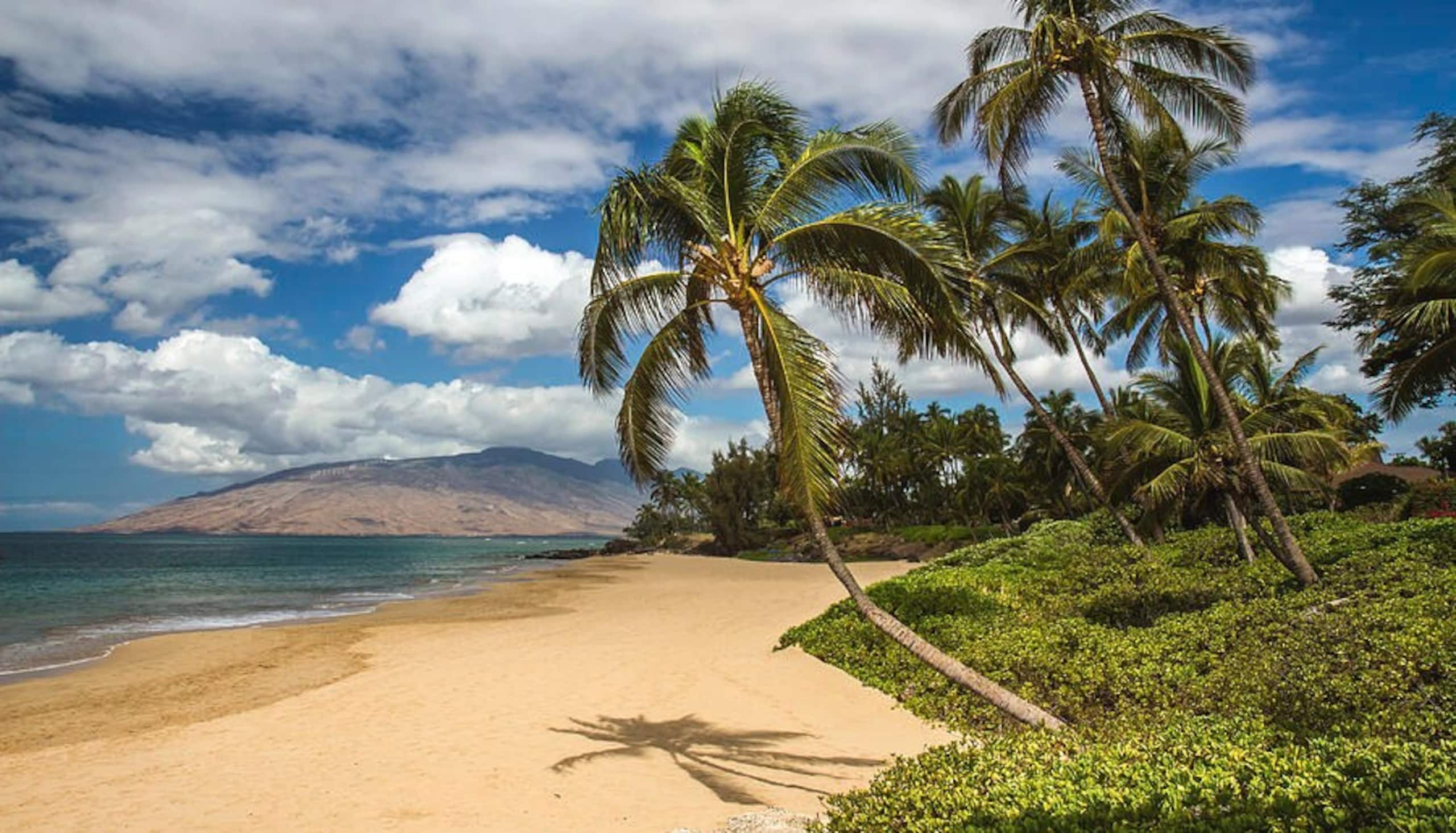 Aloha Escape. Easy Walk to Beach & Kalama Park - Photo 18