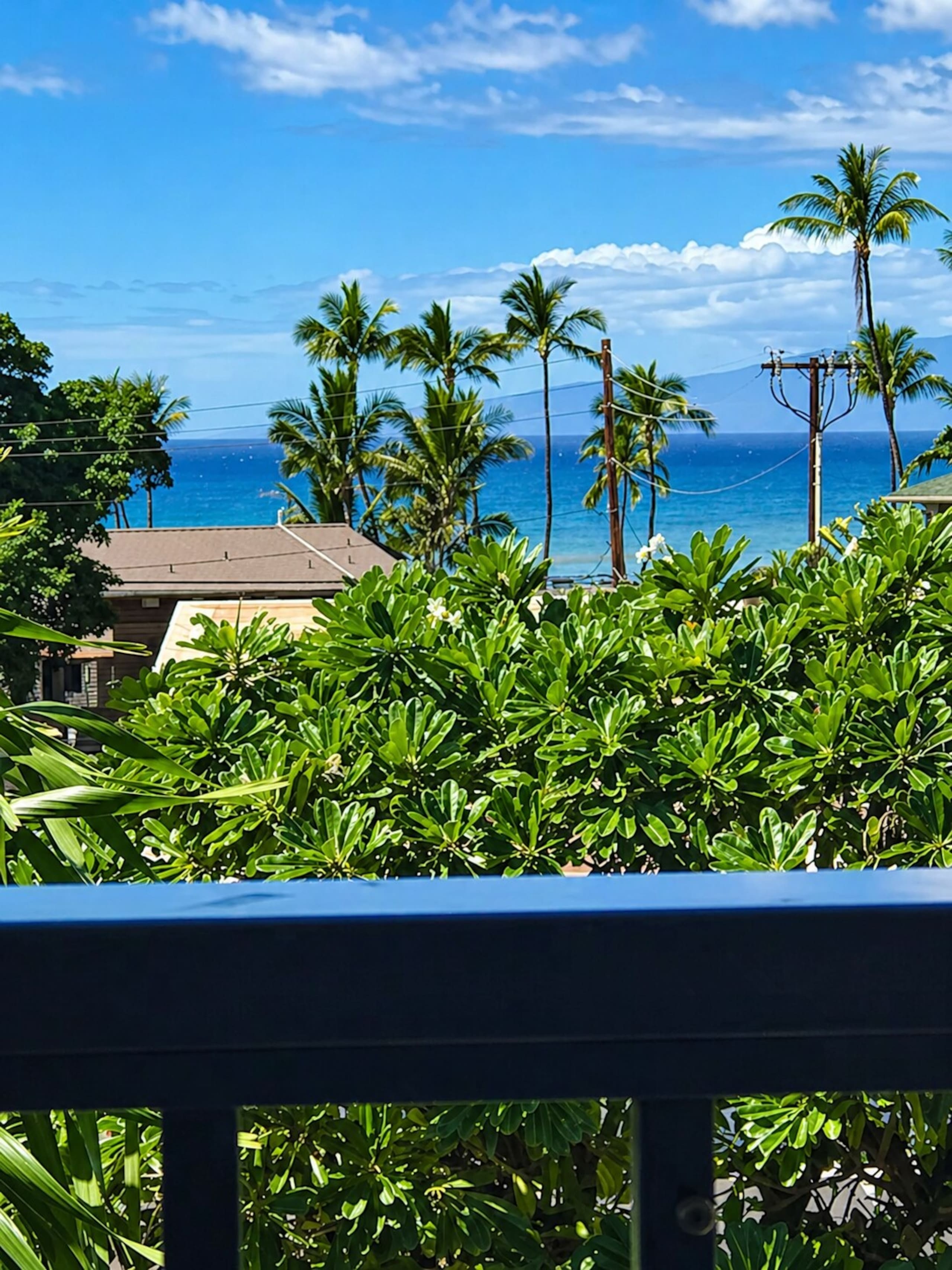 Aloha Escape. Easy Walk to Beach & Kalama Park - Photo 11